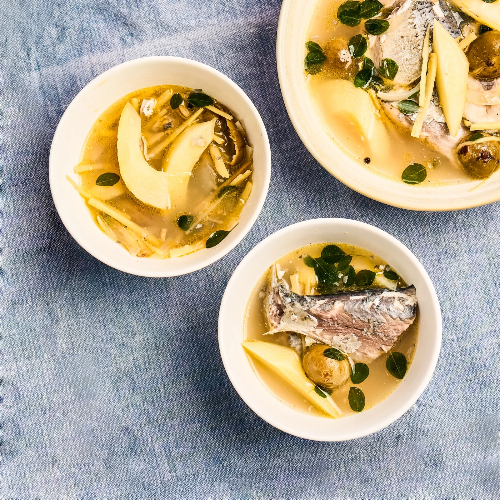 bangus tinola
