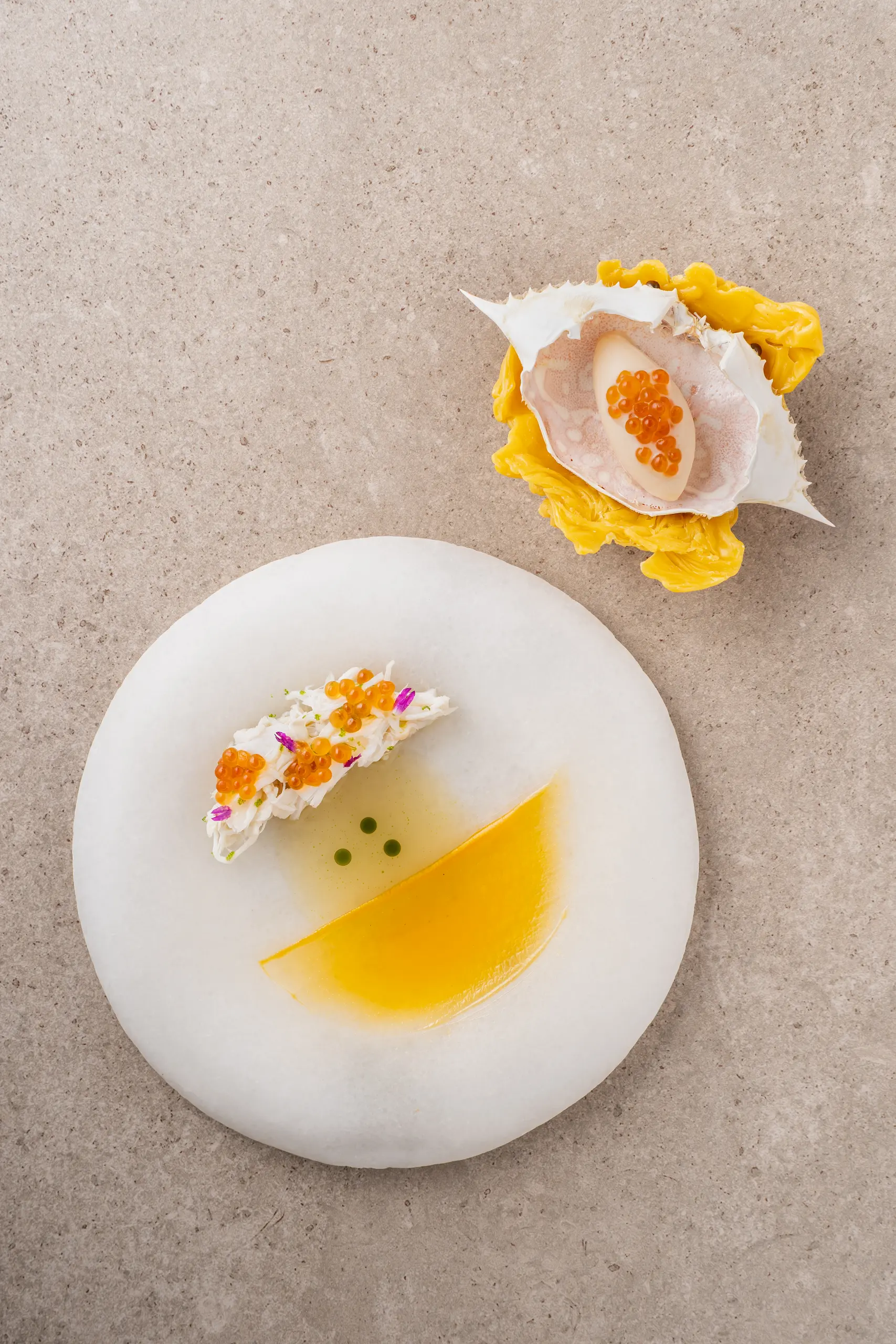 Gallery by Chele Buro Crab from the Heirloom Rice Project
