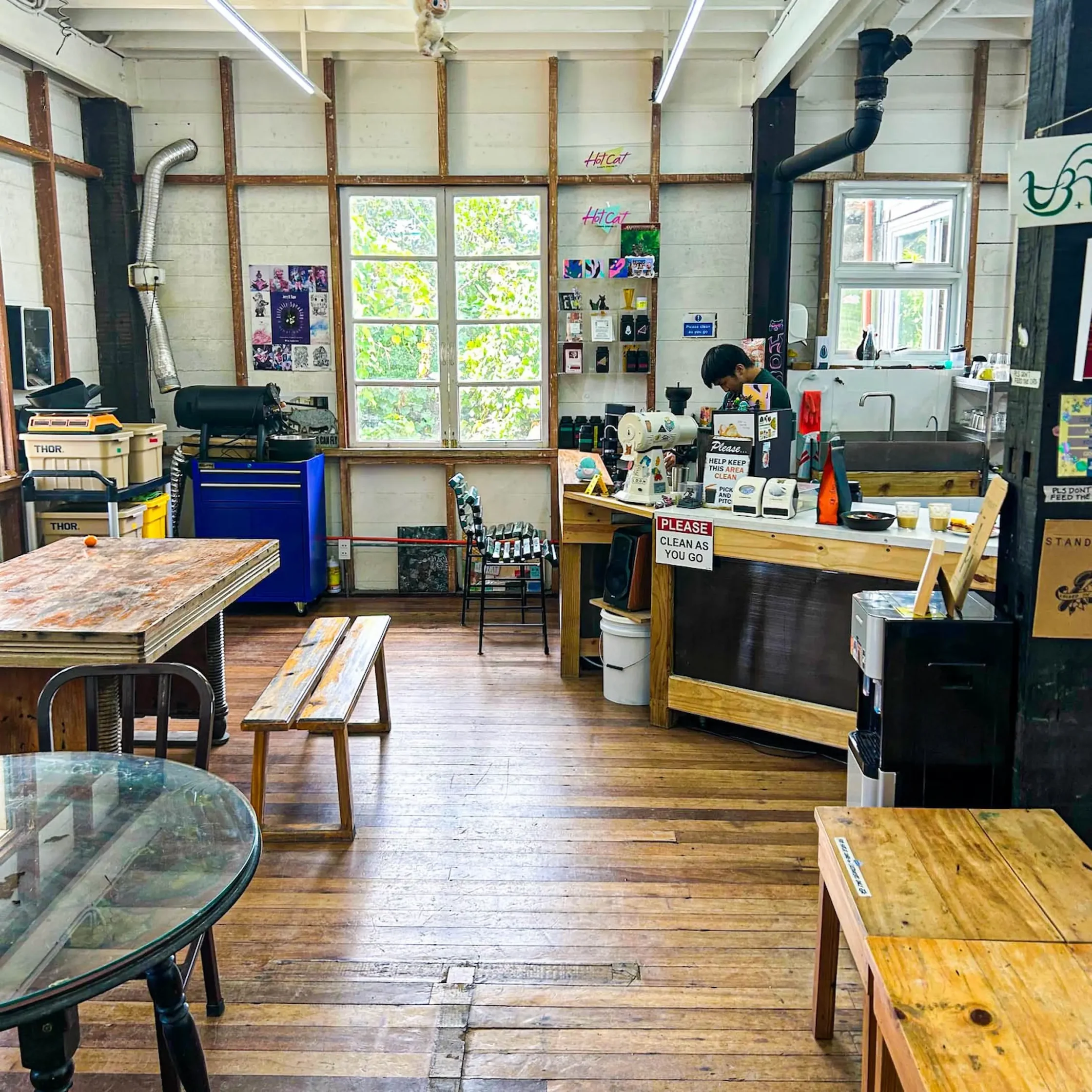 Hot Cat Cafe's interior
