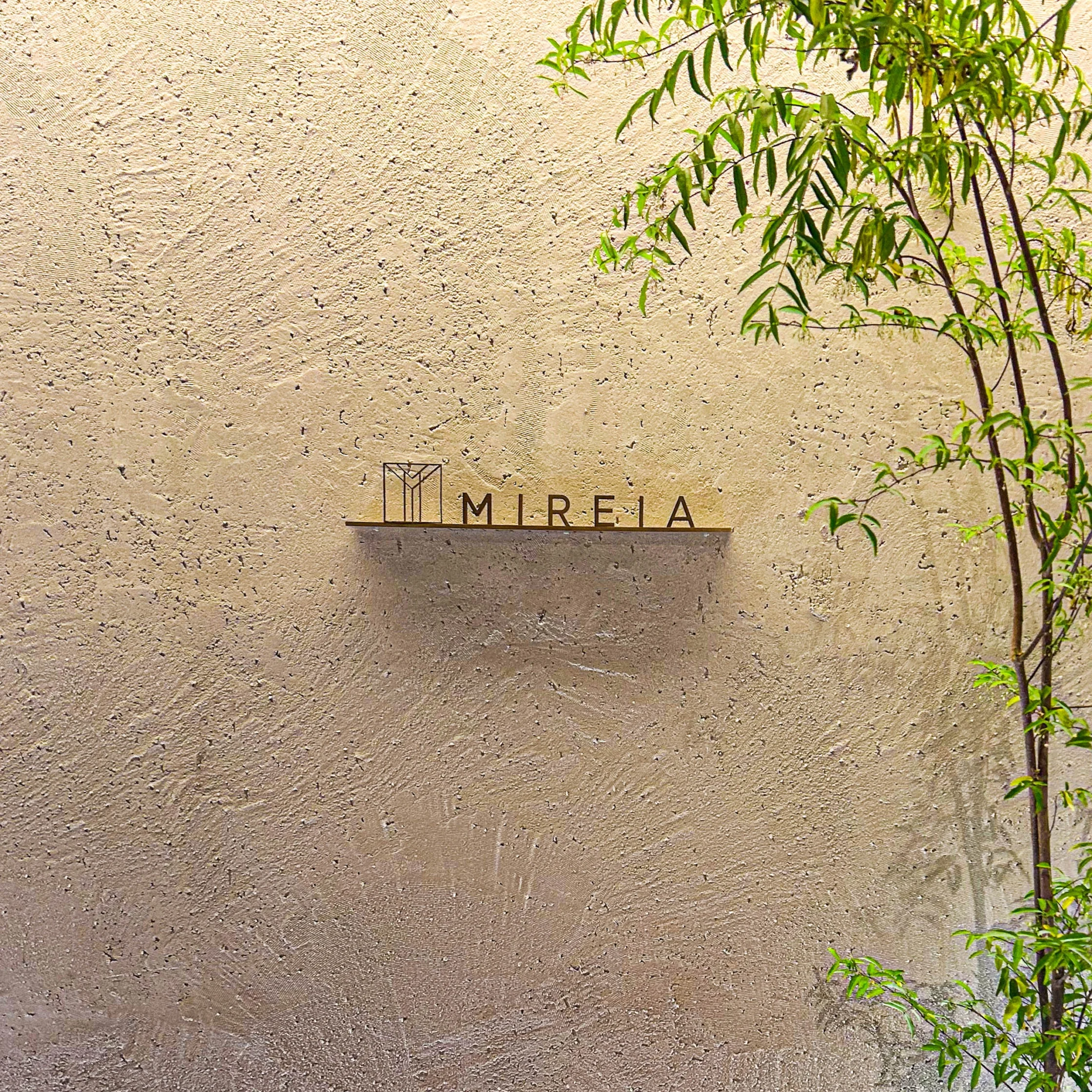 Mireia is the first of a handful of new concepts to open at Levanto Building, Makati.