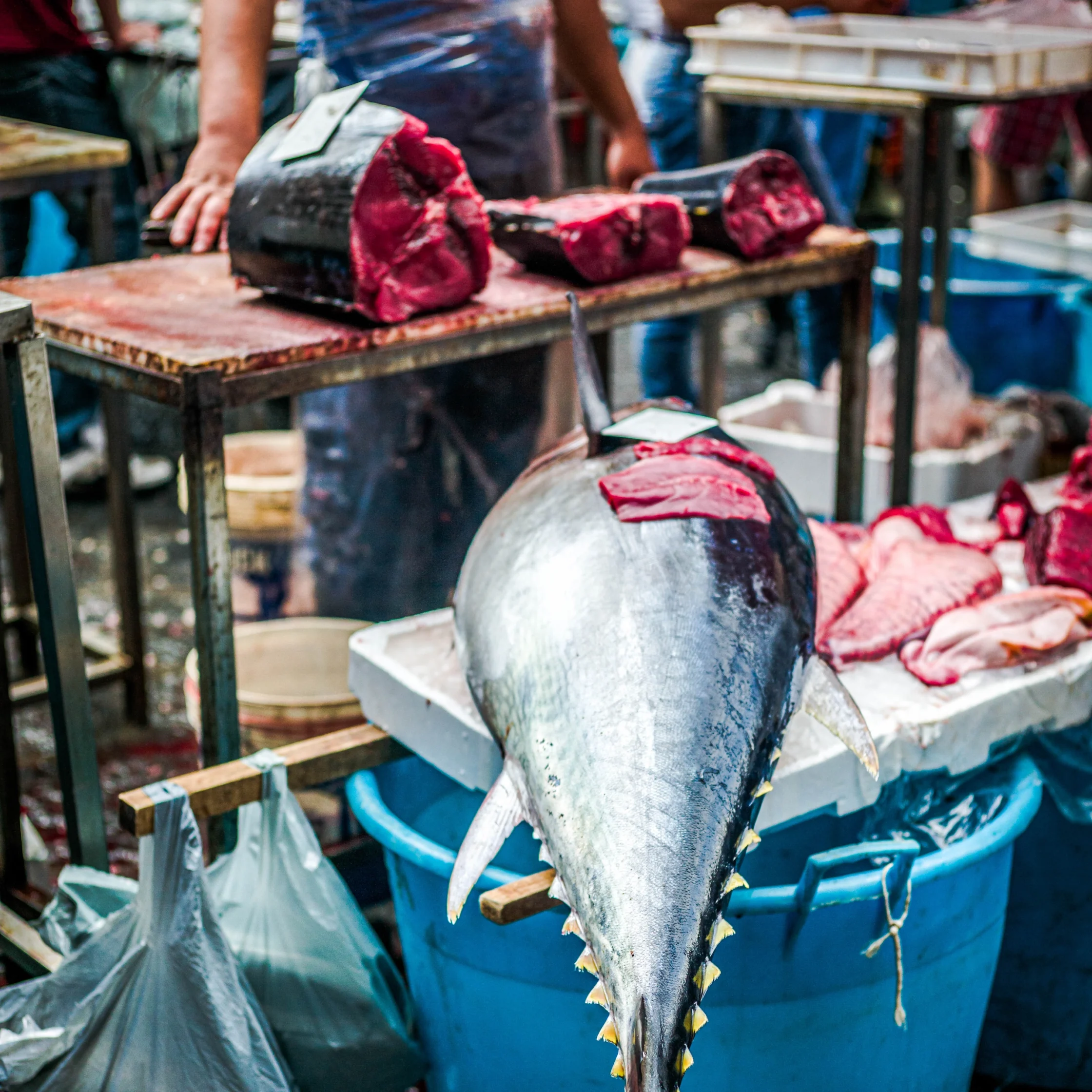 Tuna, one of the country's top food exports