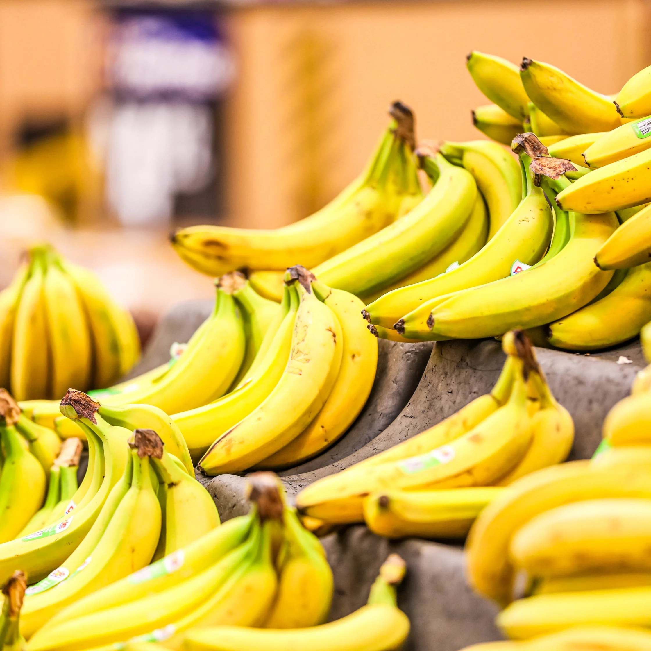 Bananas, one of the Philippines' top food exports