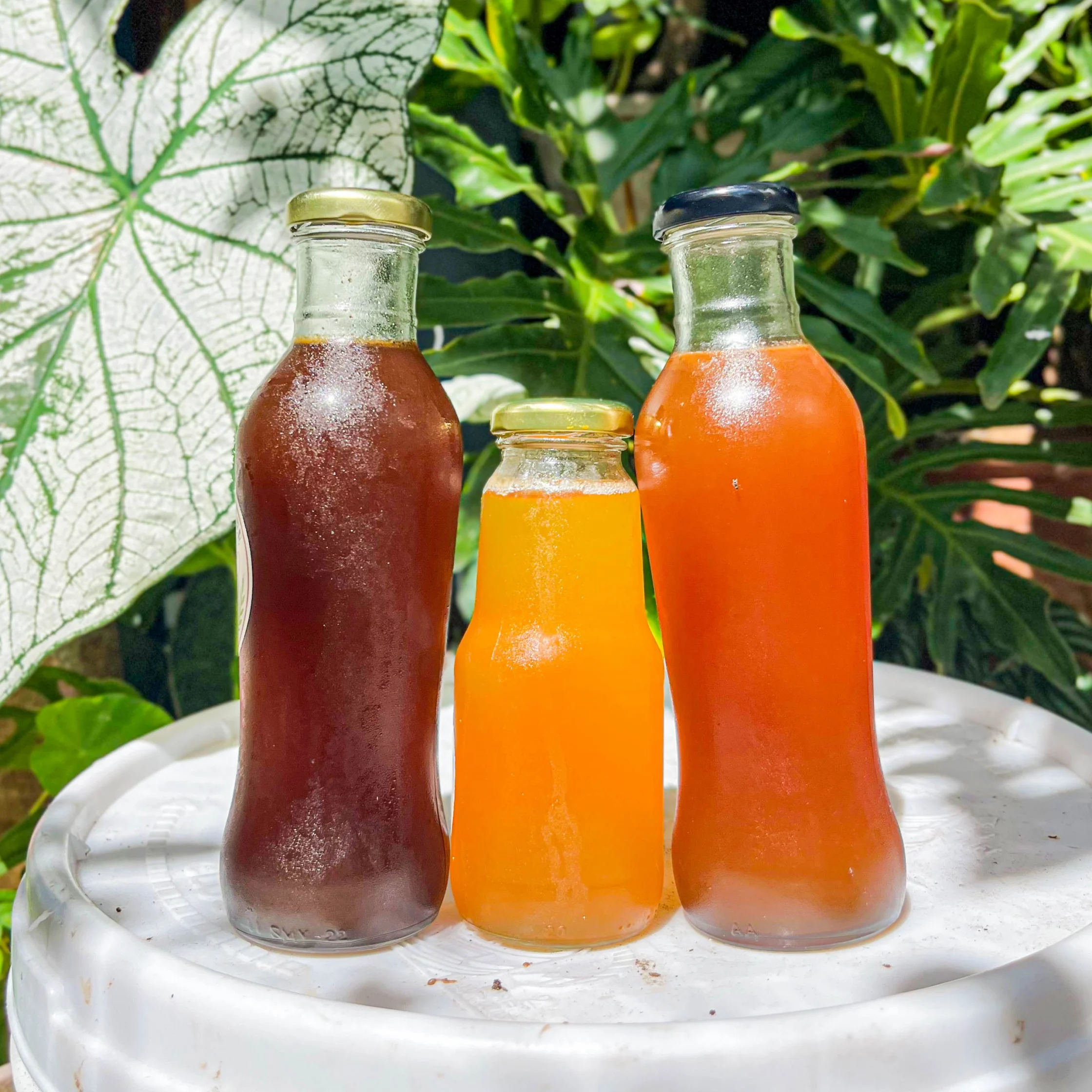 Kiwot honey varieties