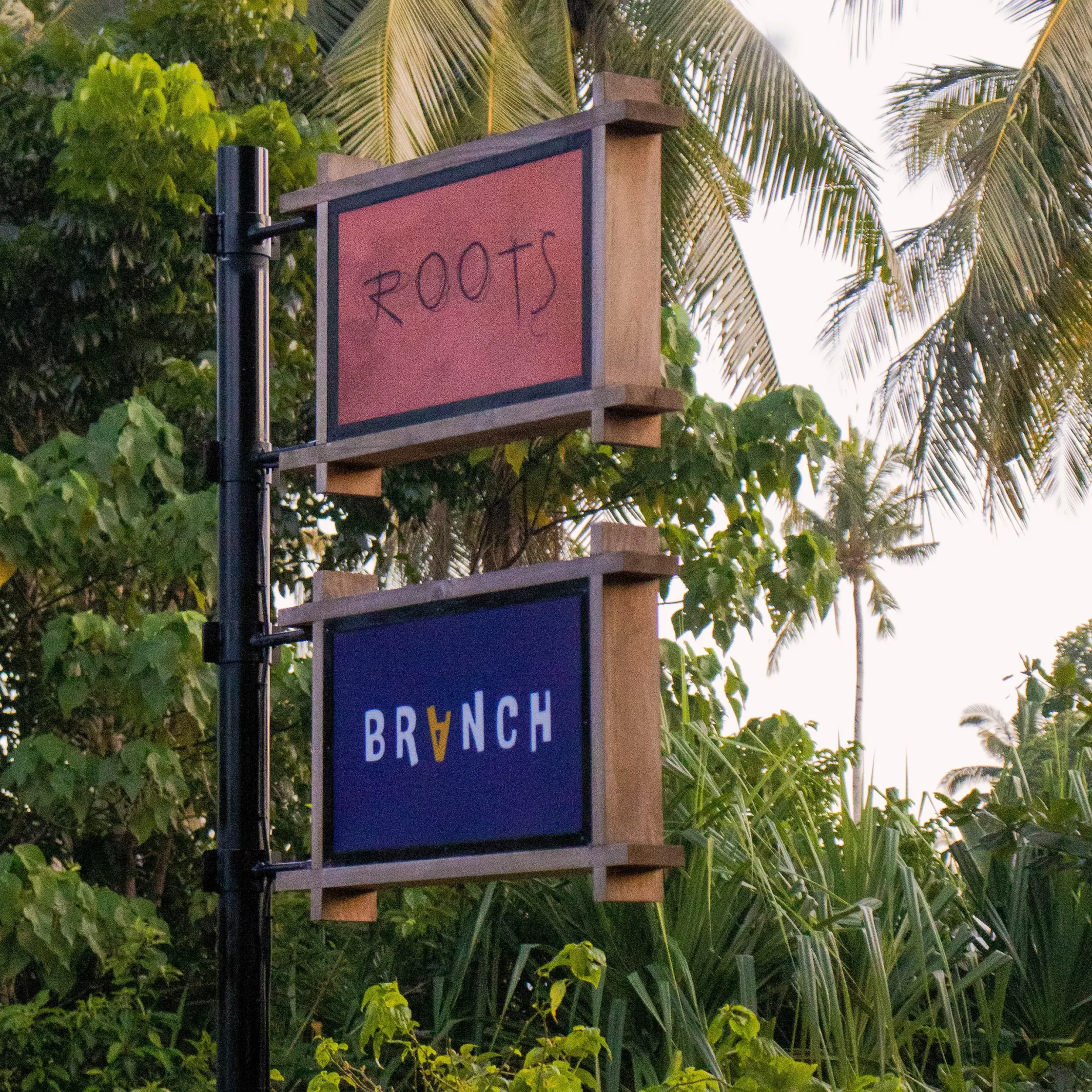 Roots and Branch by Roots in Siargao