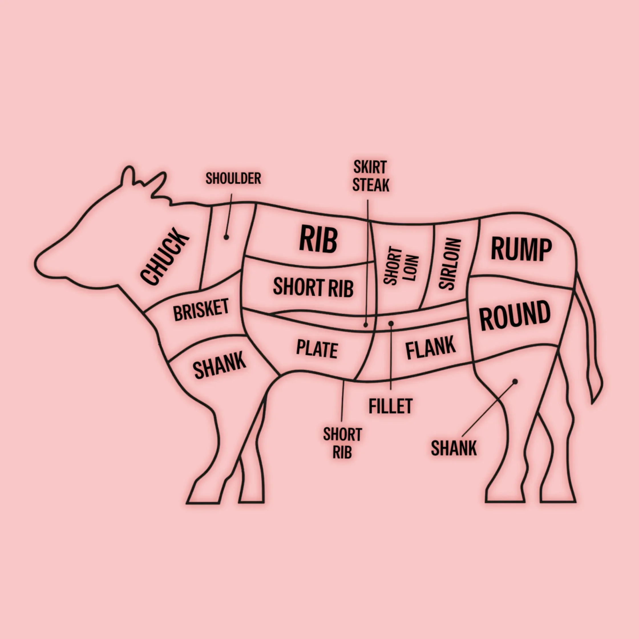 Diagram of a cow showing labeled beef cuts (chuck, brisket, rib, short rib, loin, sirloin, flank, plate, shank, round, rump, filet) for reference on meat cuts and primal sections.