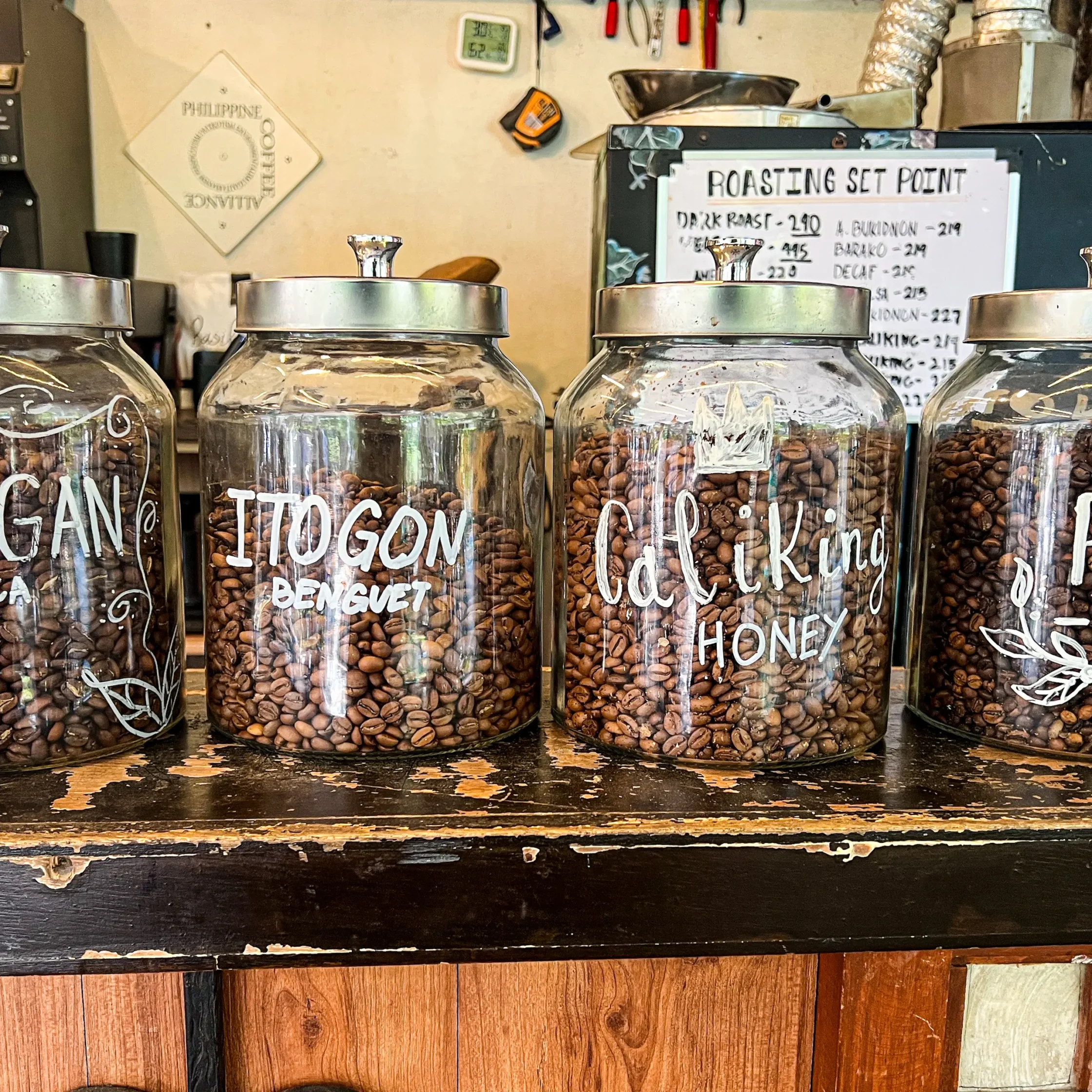 Different coffee bean varieties from the Philippinesa Arabica Robusta Excelsa and Libera