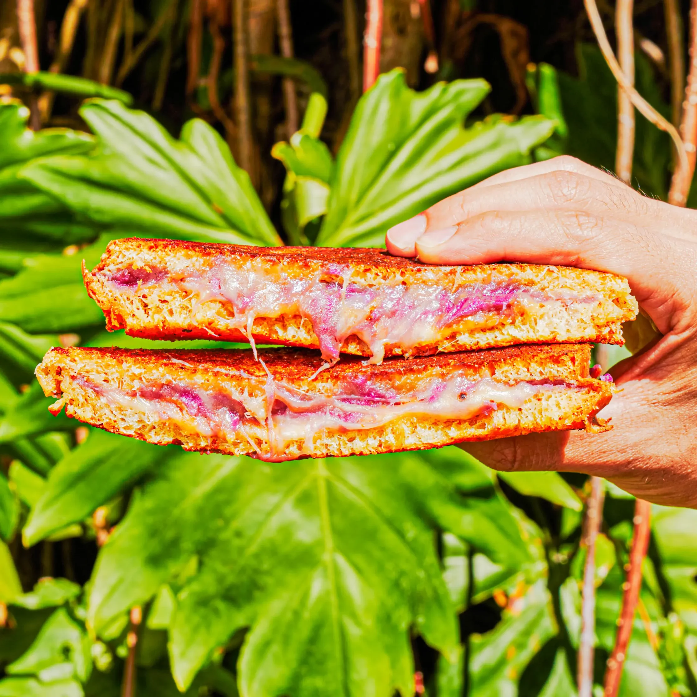 Close-up of a hand holding a toasted sandwich with melted purple cheese oozing between crispy bread, outdoors.