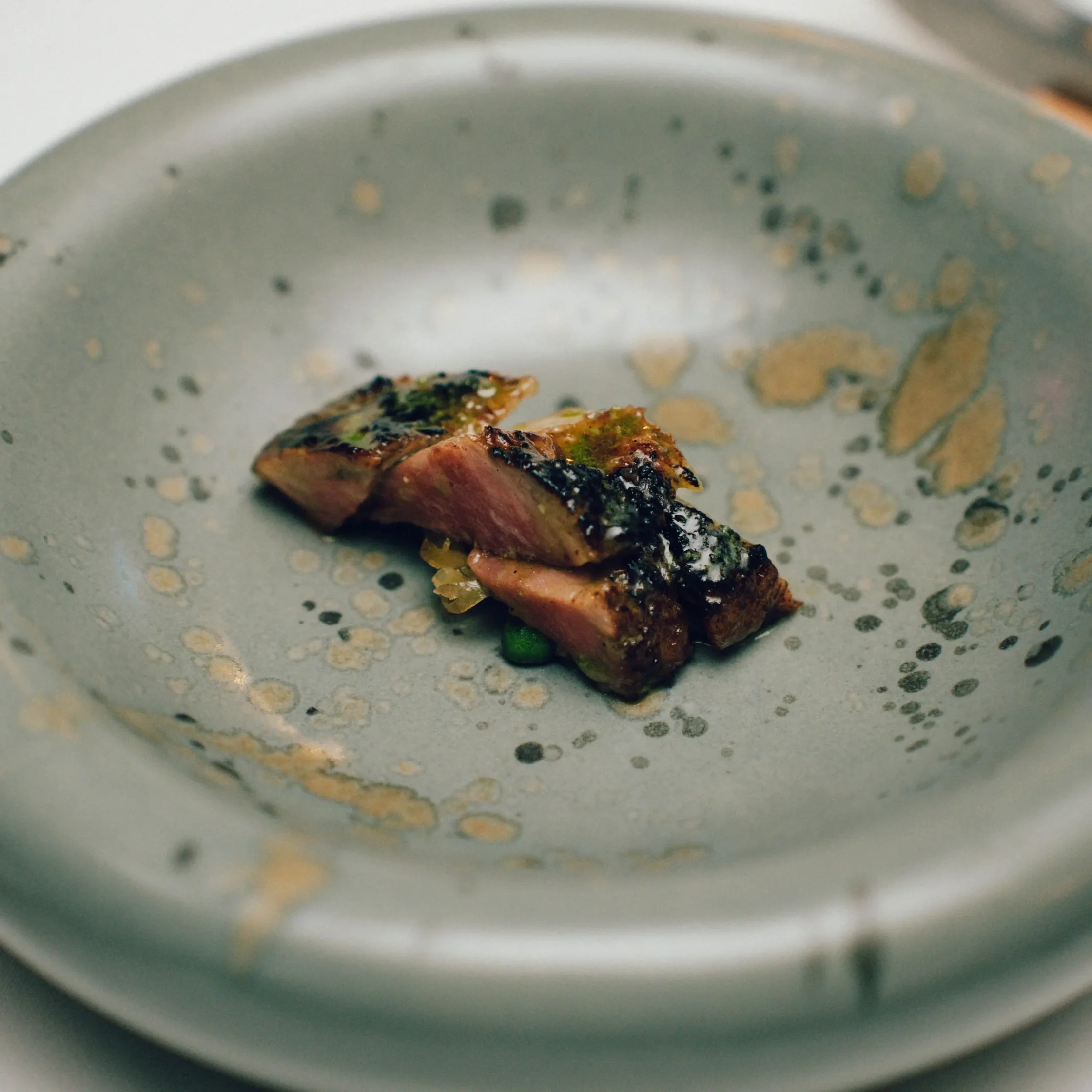 Small piece of grilled meat with herbs on a blue speckled plate.