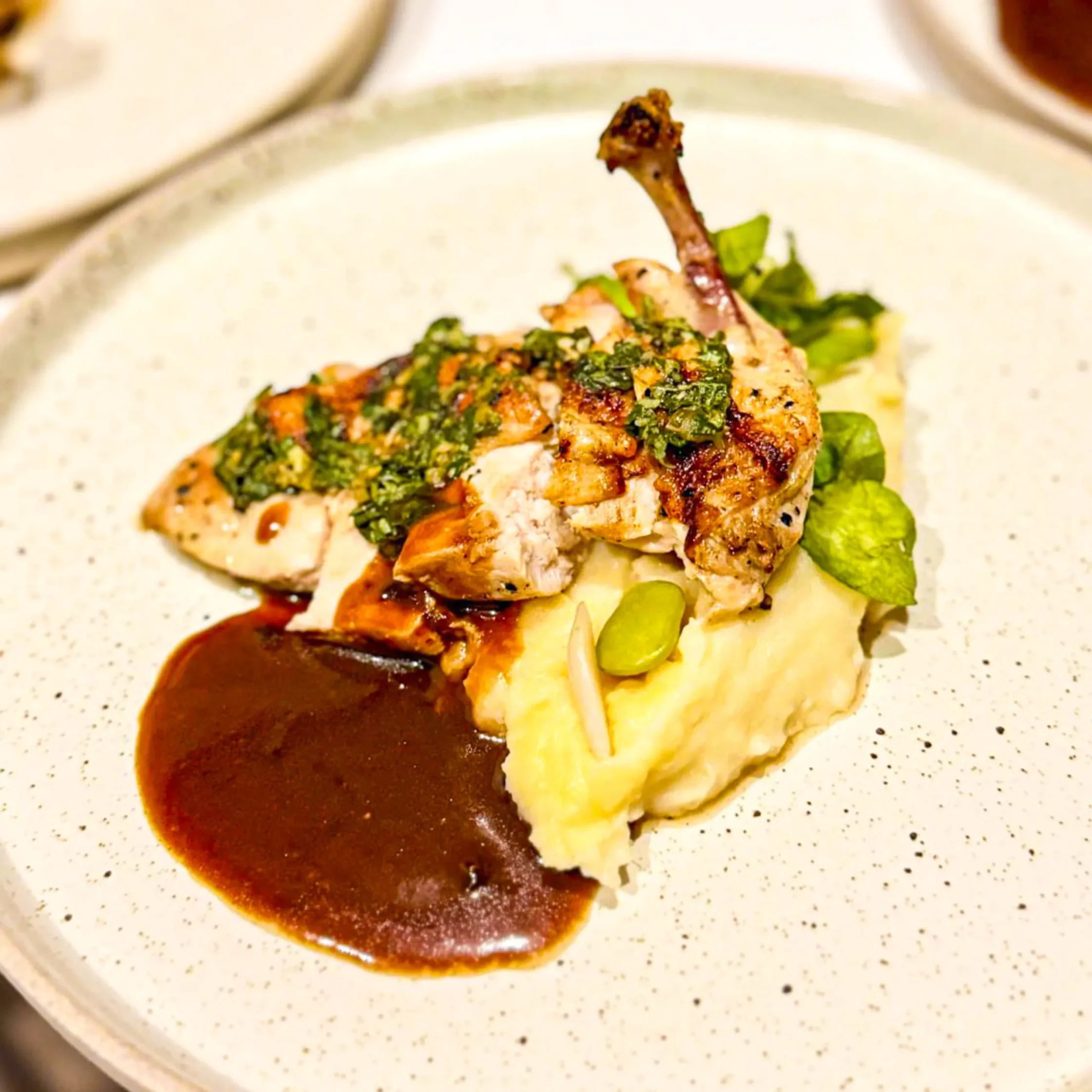 Gourmet roasted chicken plated with creamy mashed potatoes, rich brown sauce, herbs, and fresh greens by a professional private chef.