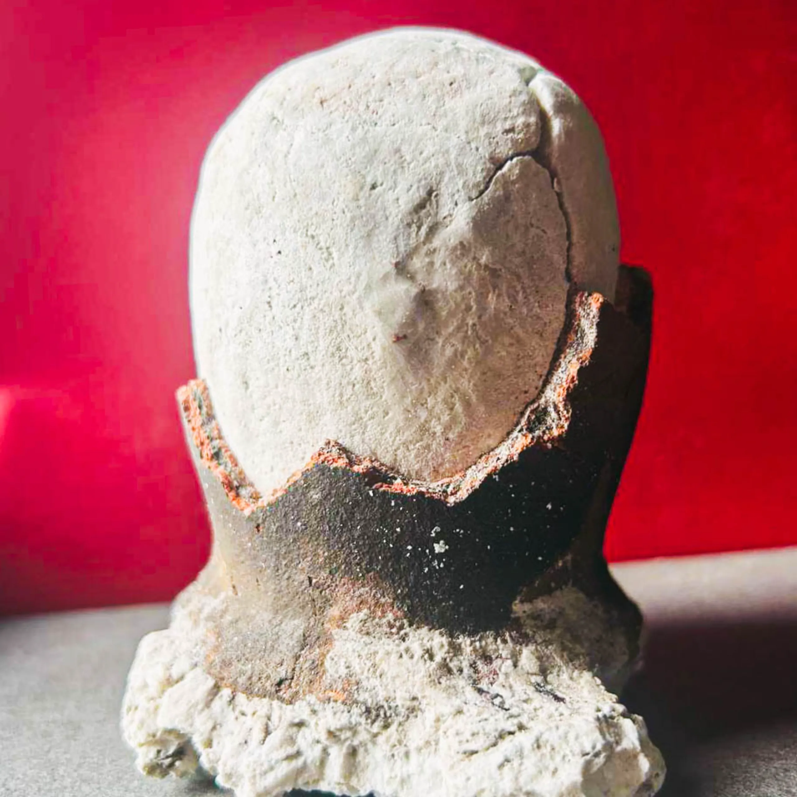 asin tibuok bohol salt philippine dinosaur egg