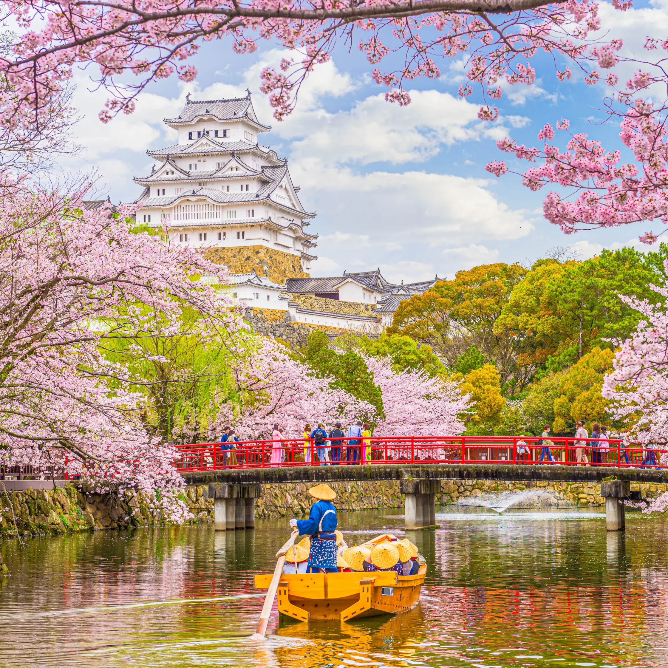 Cherry blossoms frame a white Japanese castle atop a stone wall, with a blue sky and pink blooms surrounding it.