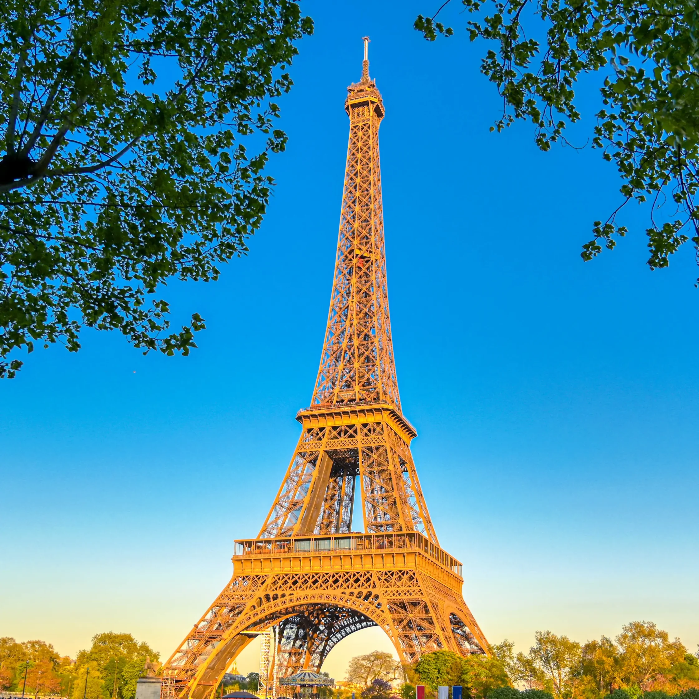 Eiffel Tower rising through green tree branches against a bright blue sky, taken at golden hour.