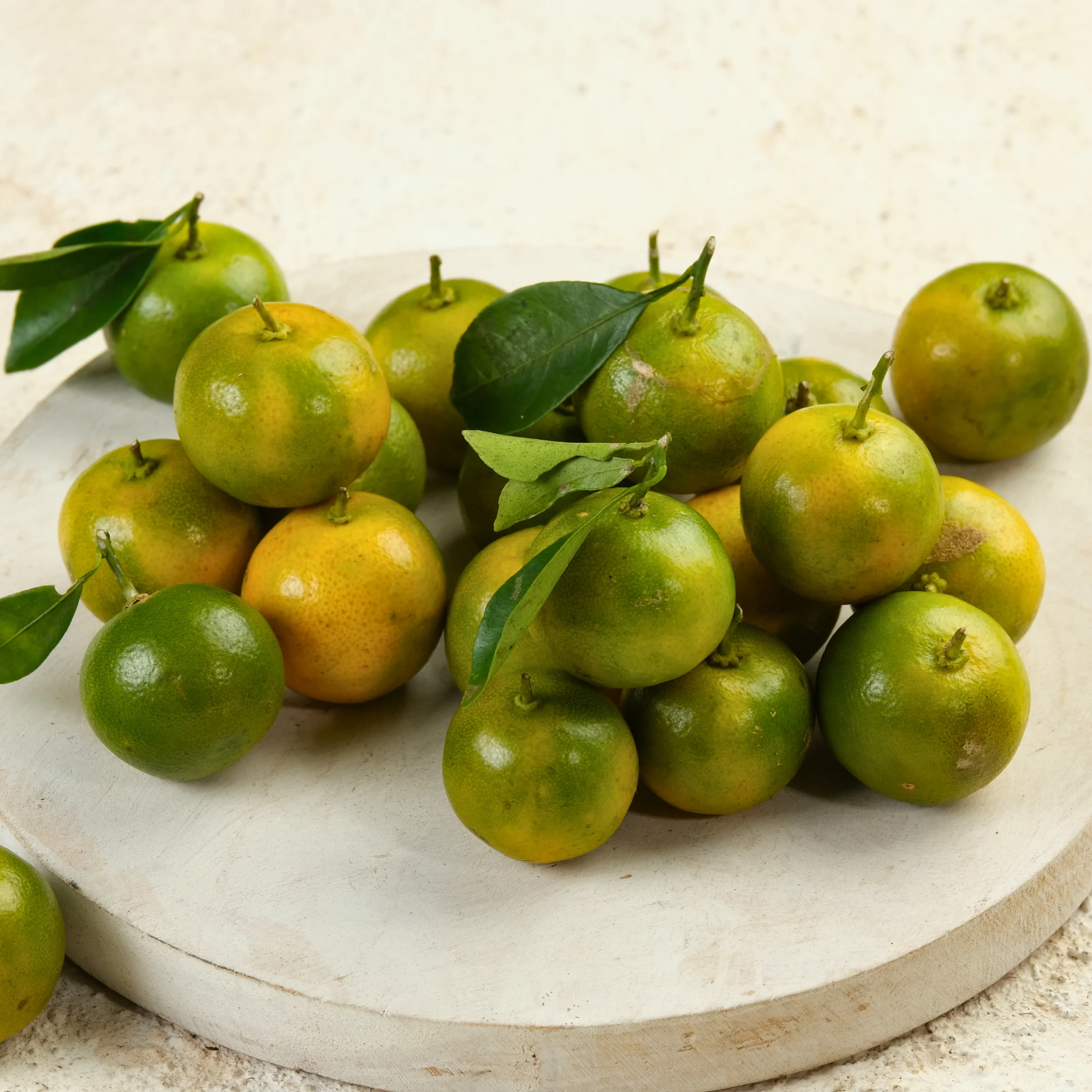 calamansi or calamondin citrus fruit from the philippines