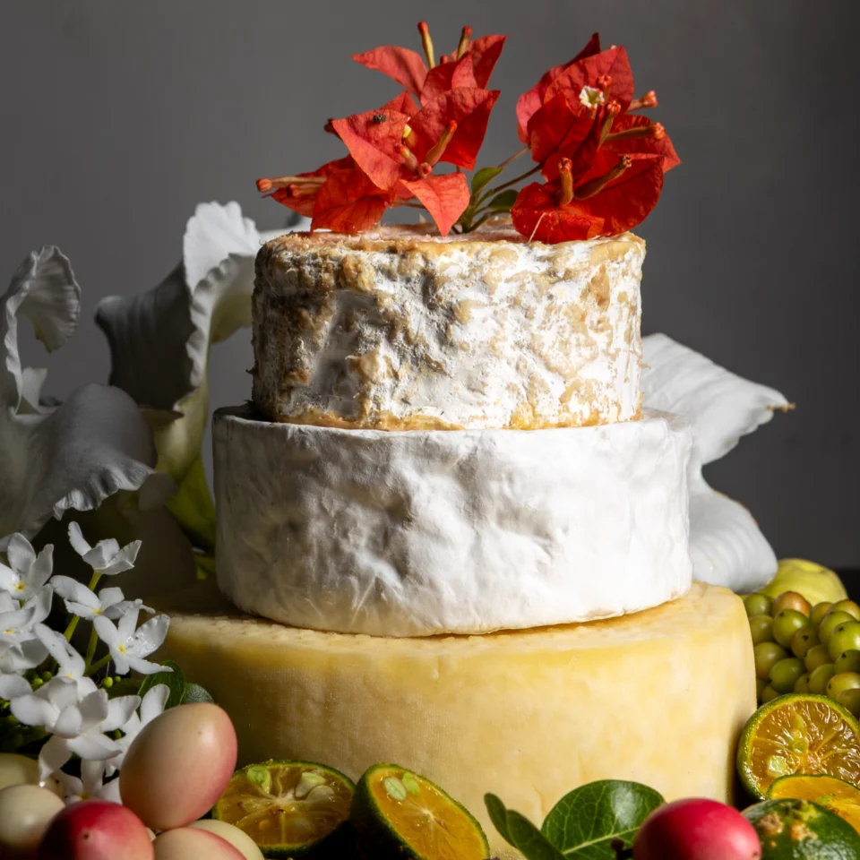 Artfully styled cheese display featuring Wild Pasture Cheesemakers varieties: Kesong Panganod on top of Azul Ginto, both resting on a wheel of cheddar cheese.