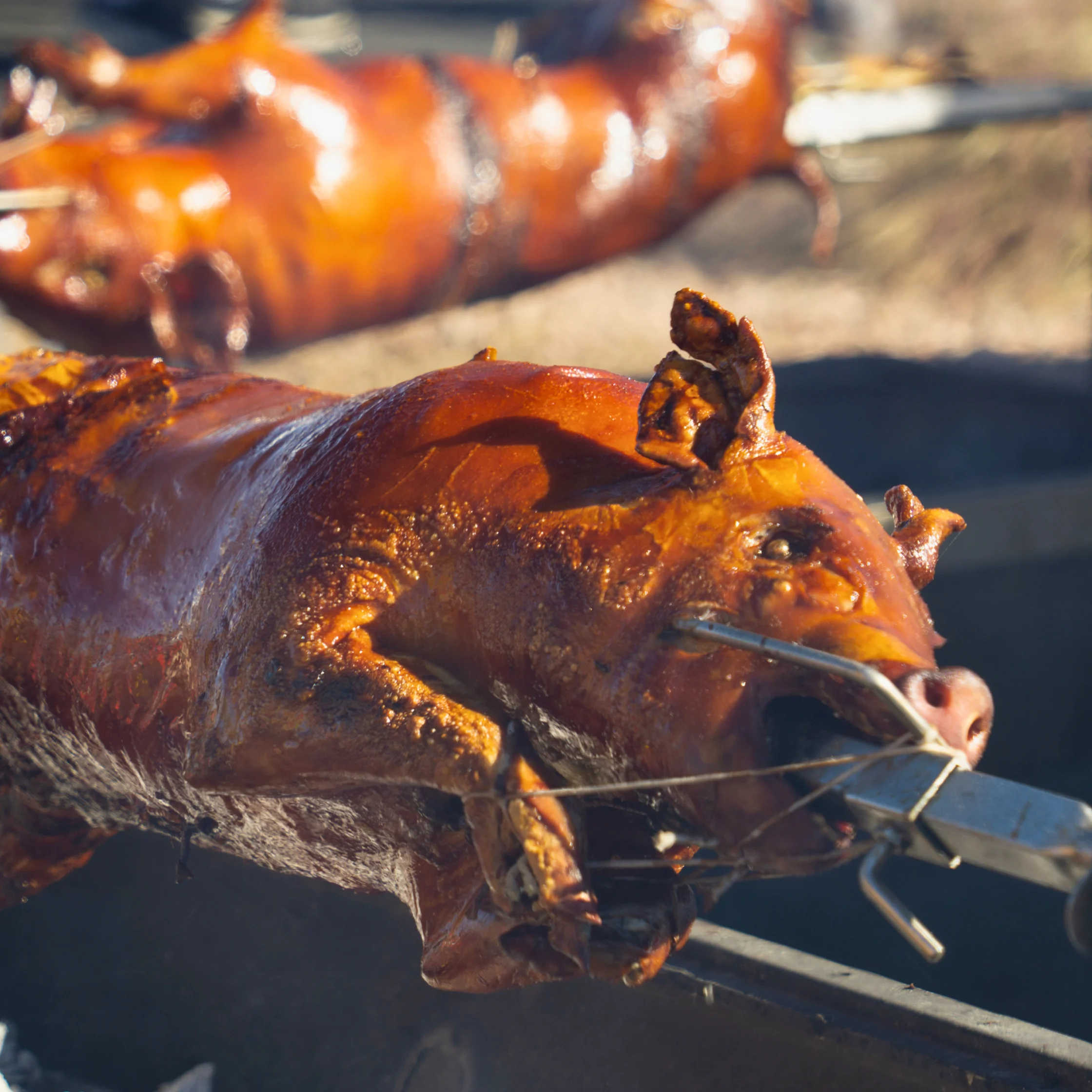 Whole roasted pig with golden-brown crispy skin cooking over hot coals on a street-side grill.