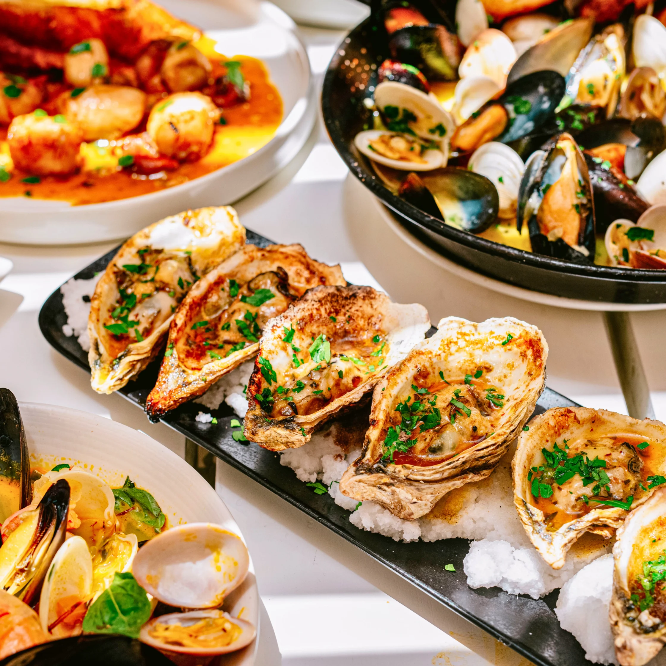 Platter of grilled oysters on a bed of salt surrounded by mussels, clams, and other seafood dishes.