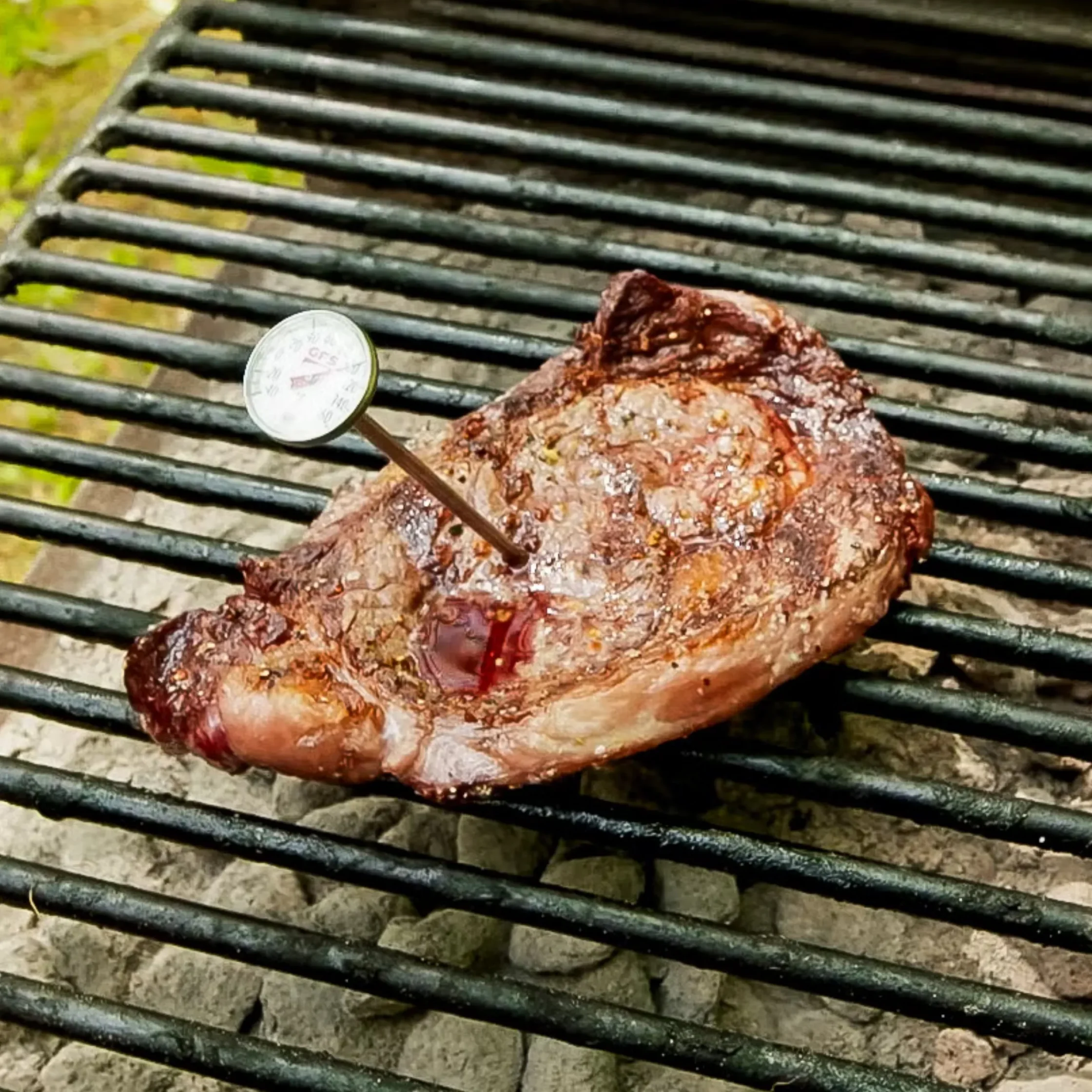 Steak with thermometer
