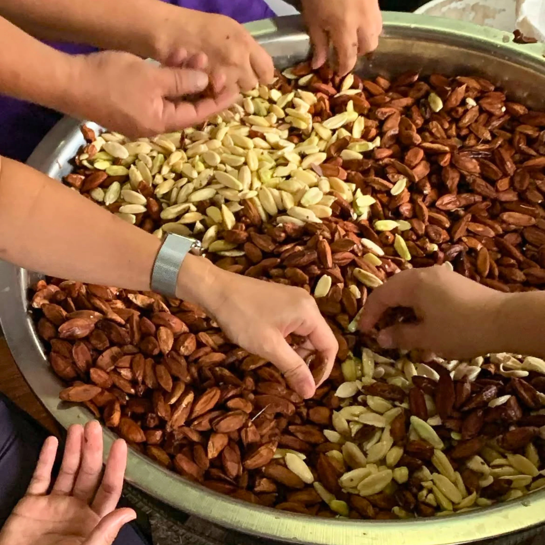 Pili Nuts PHOTO COURTESY OF QueRica Official Instagram