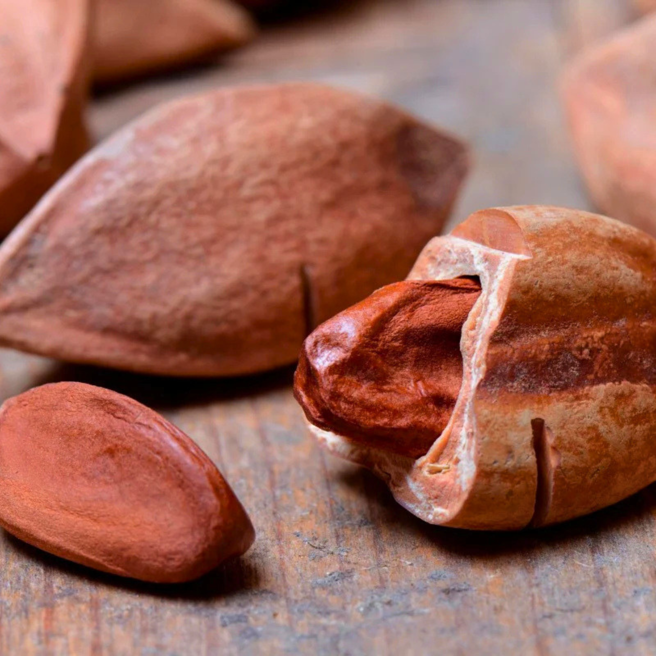 Pili Nuts PHOTO COURTESY OF South Morning China Post Official Website