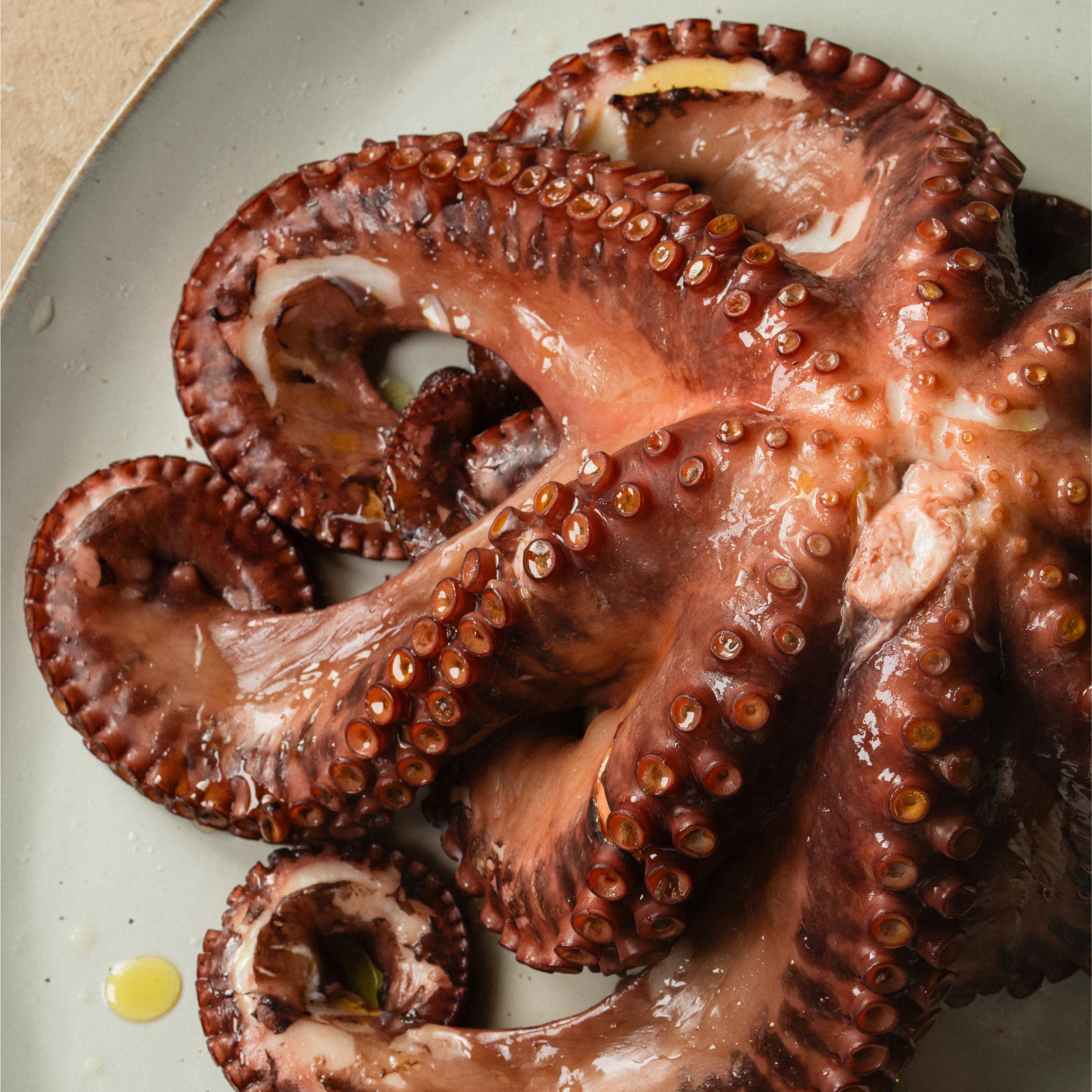 brasa by chef luis martinez octopus