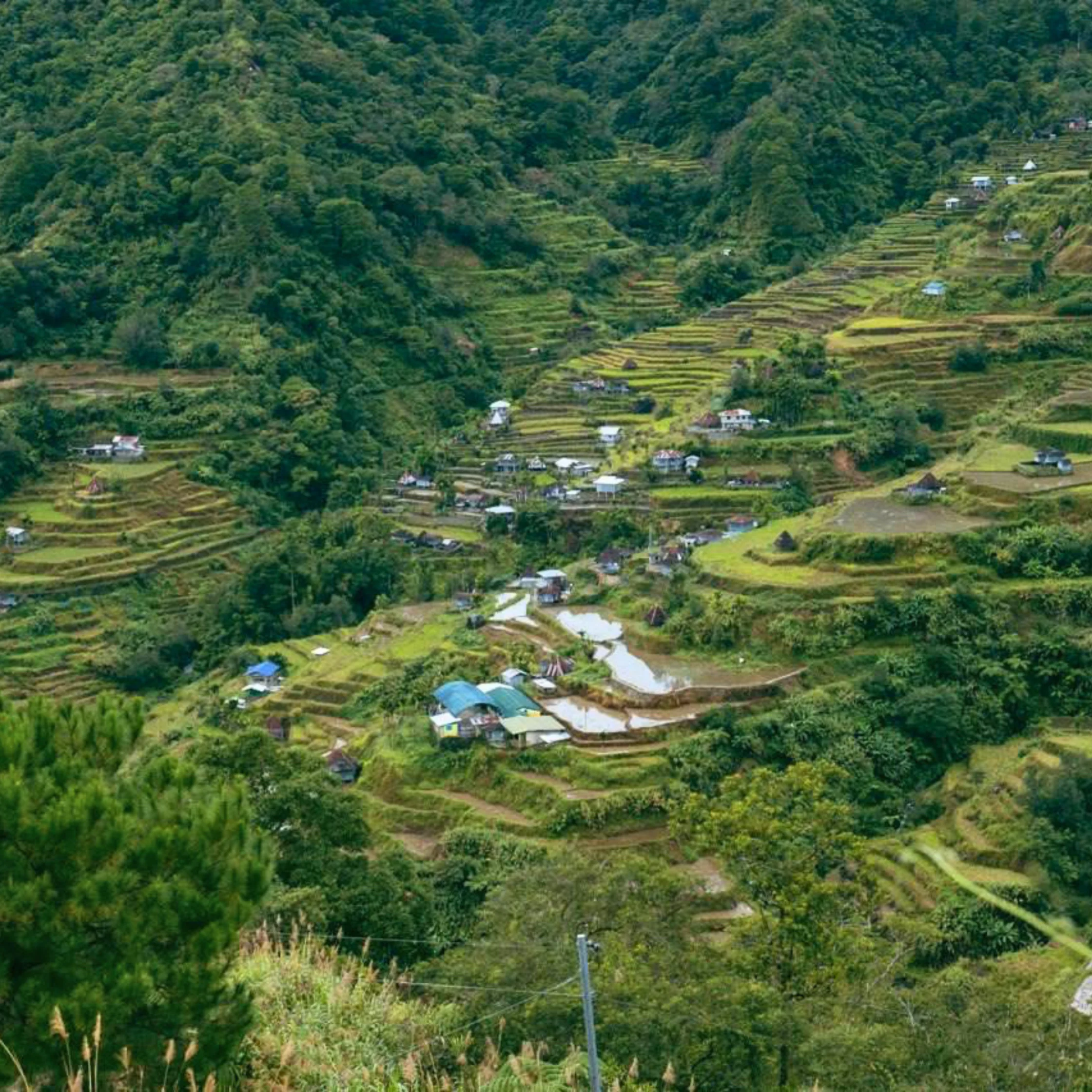hapag rd tour rice etteraces photo by karl dimaculangan
