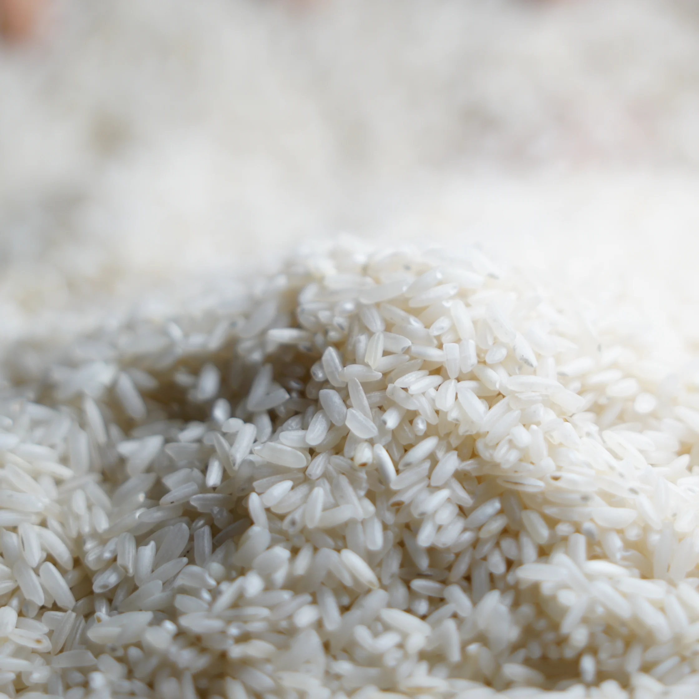 common rice cooking mistakes to avoid for perfect and fluffy rice