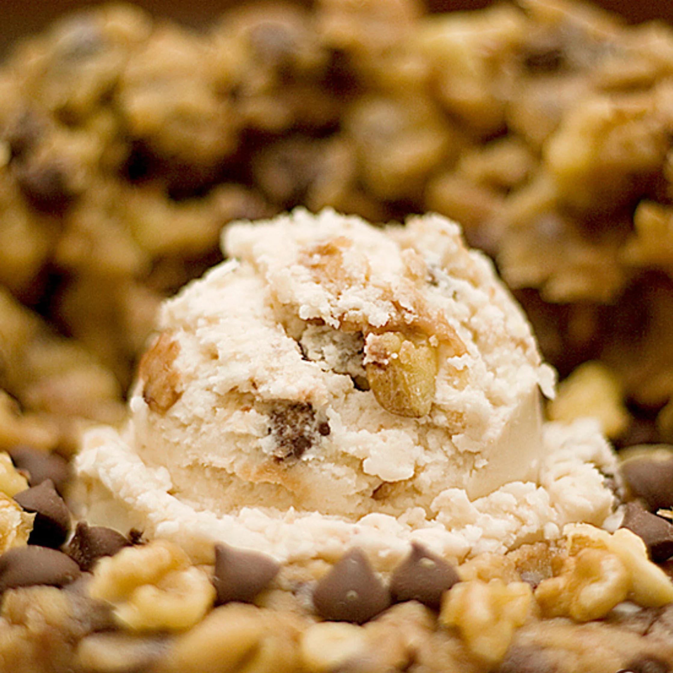 sebastians ice cream chocolate chip cooking dough