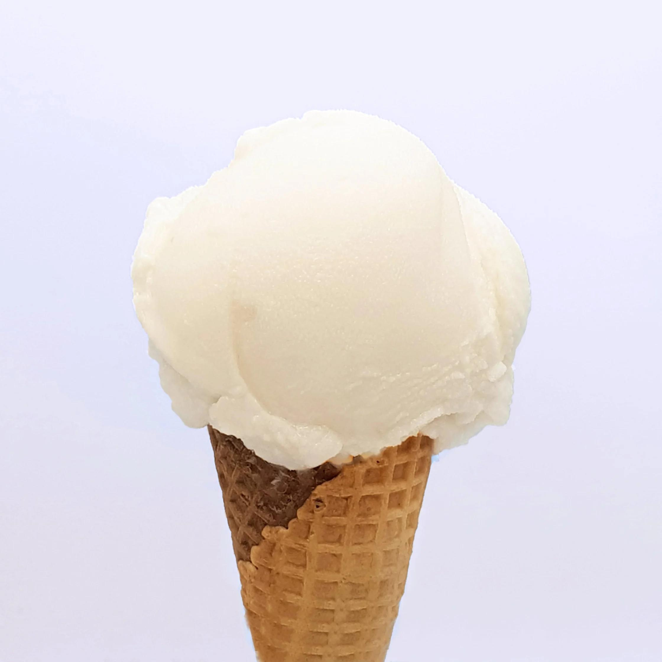 sebastians ice cream lanzones sorbet
