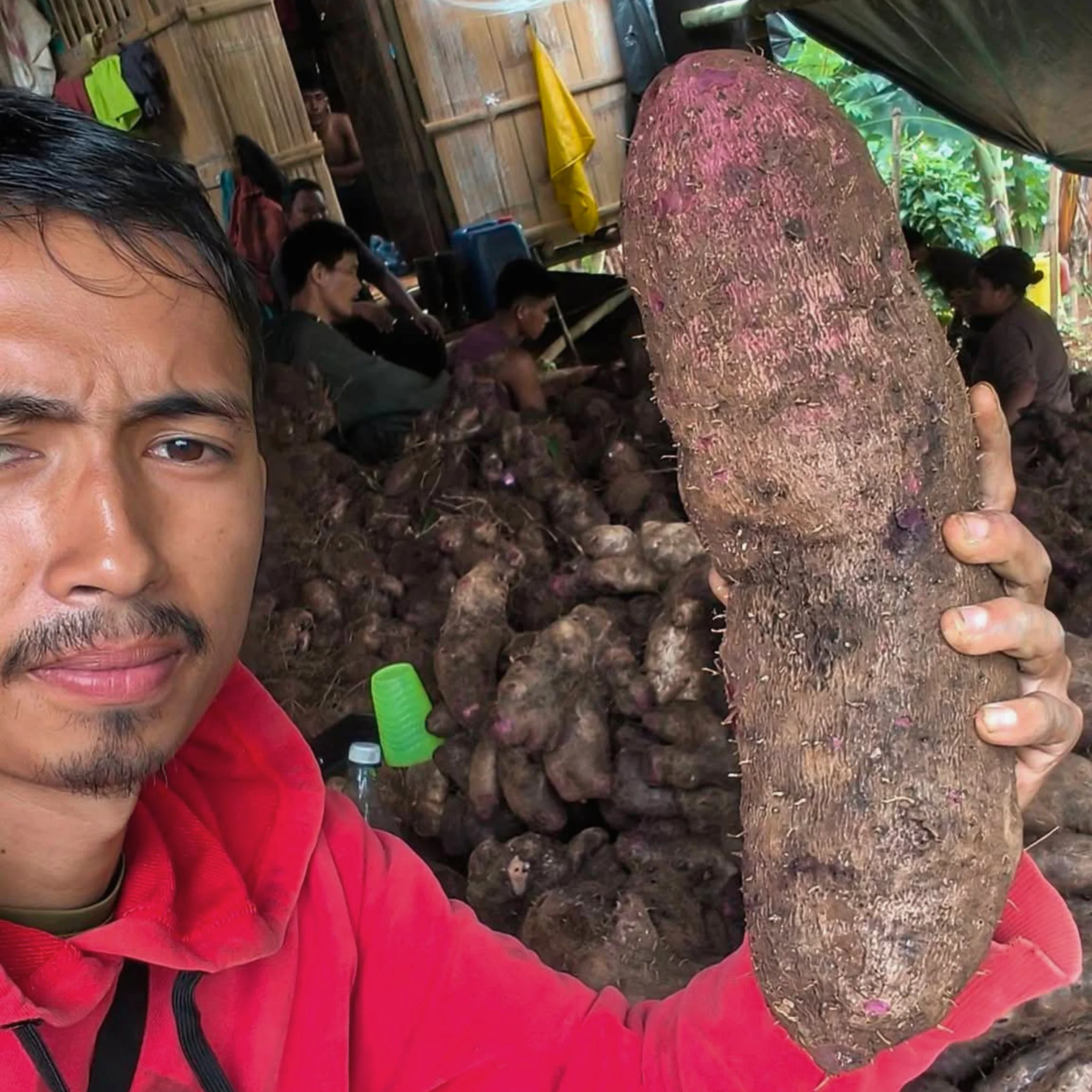 ube farmer Kim Mechavez from bukidnon holding up large piece of ube