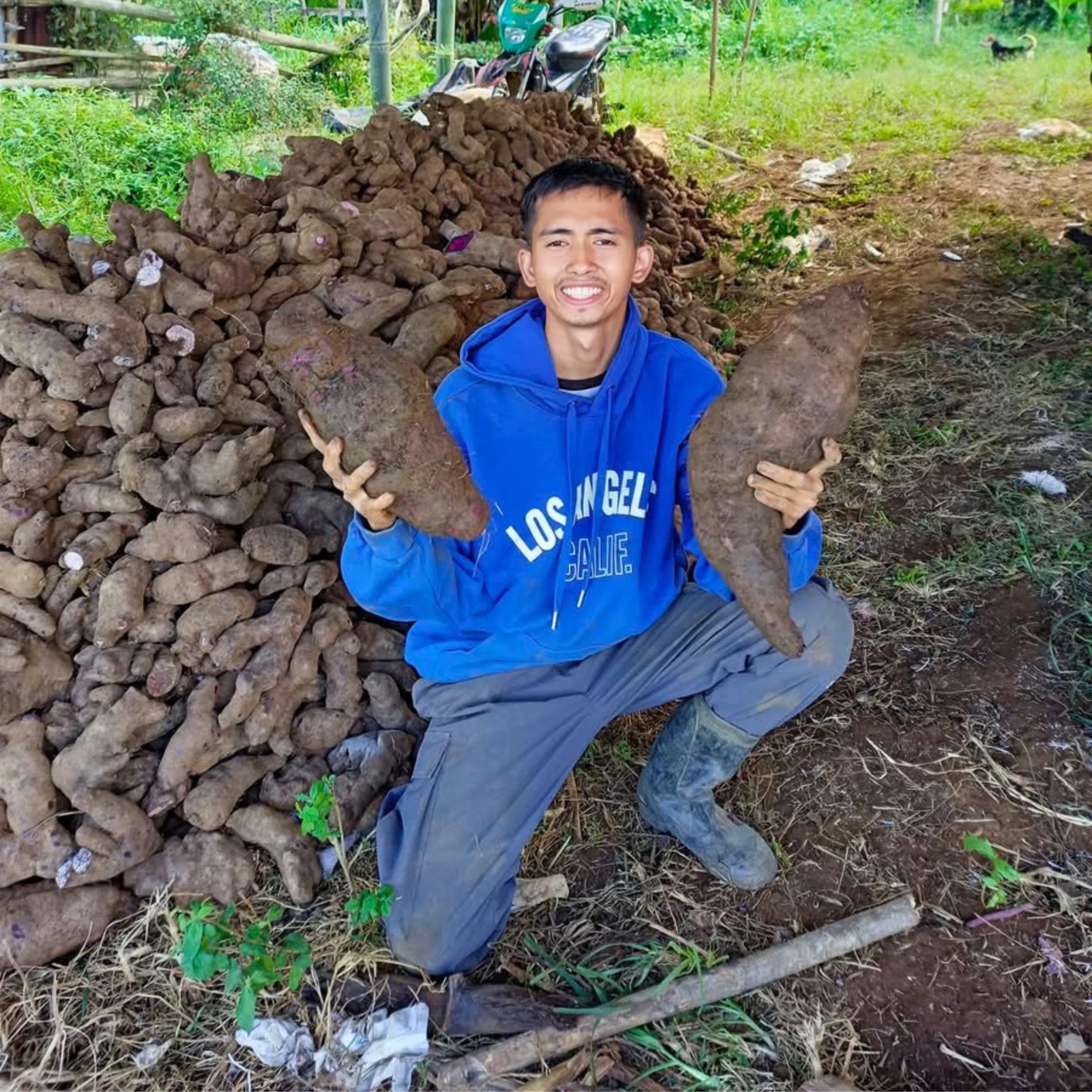 ube farmer Kim Mechavez from bukidnon holding up two large pieces of ube 2