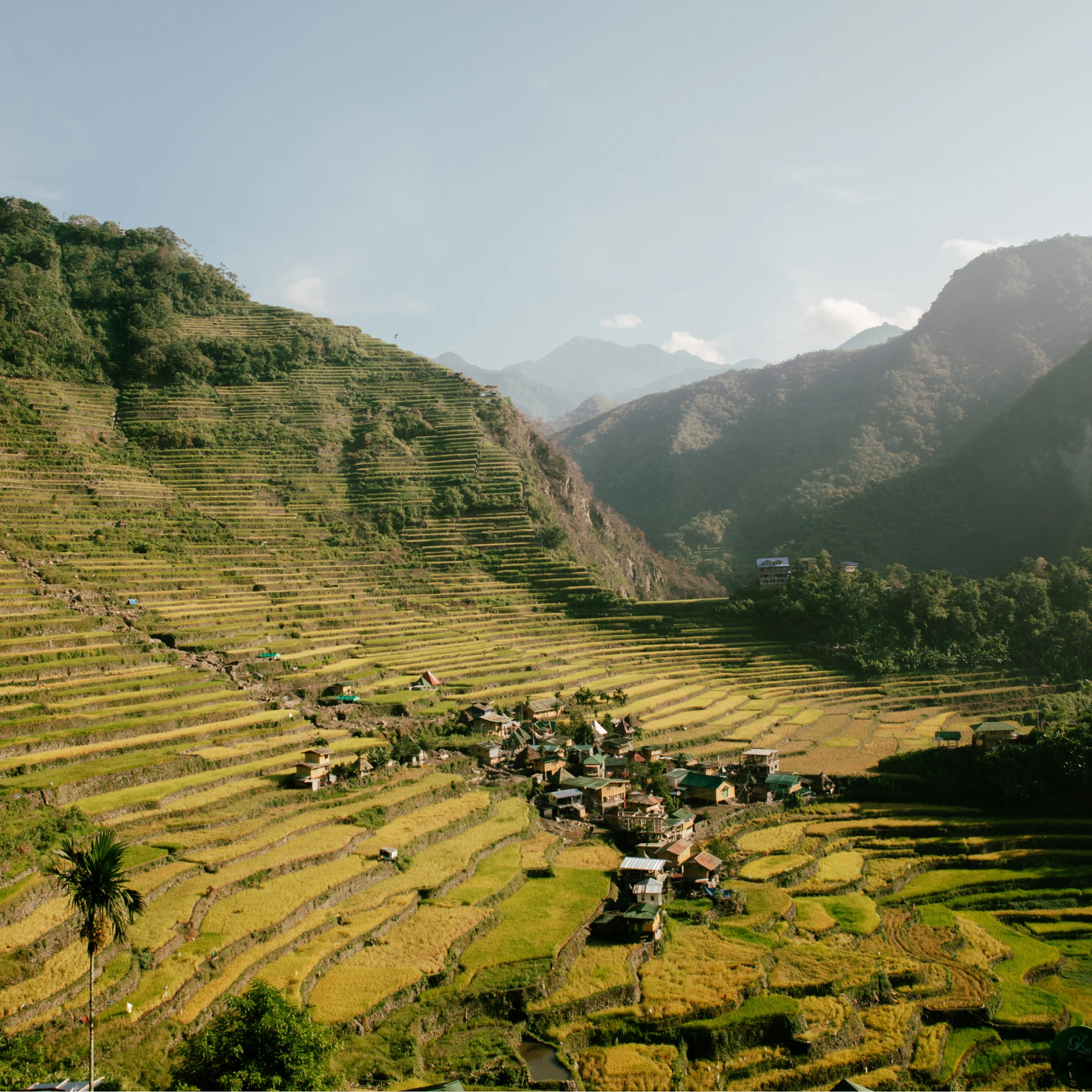 Batad Rice Terraces PHOTO COURTESY OF