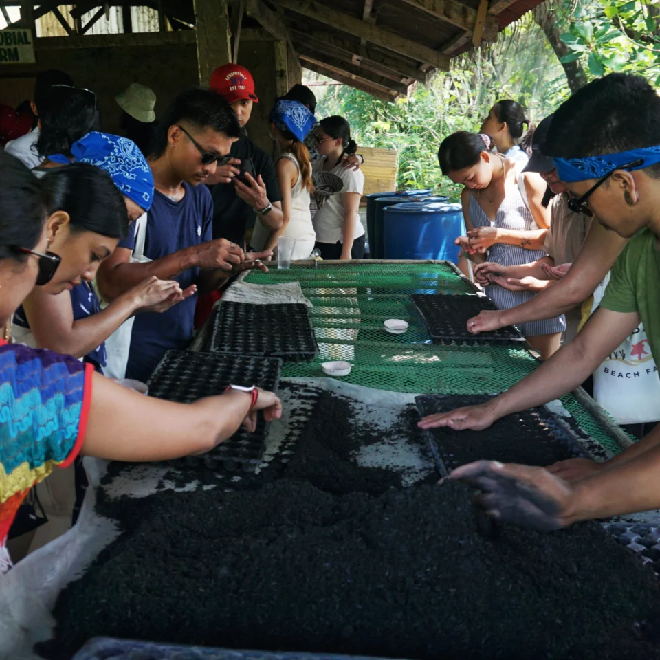 Group of people around a long tank handling shellfish at an outdoor seafood farm.