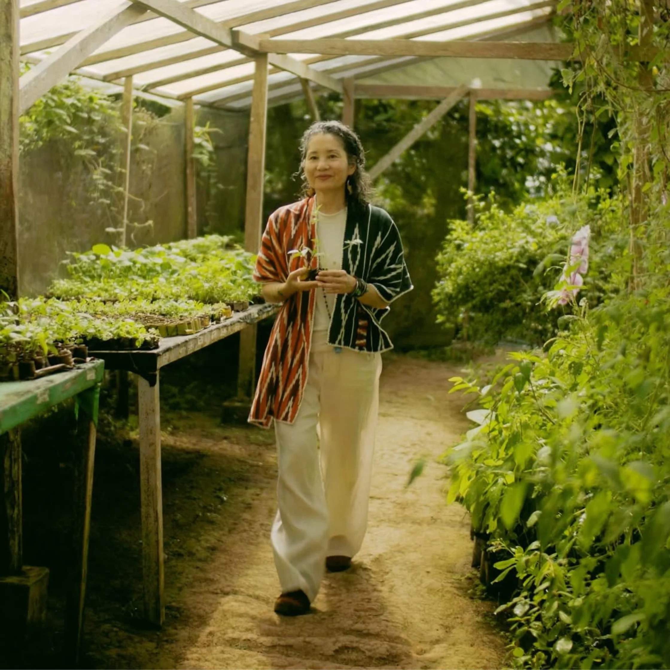Woman standing in a greenhouse wearing a red-and-black patterned shawl and light-colored pants among green plants.
