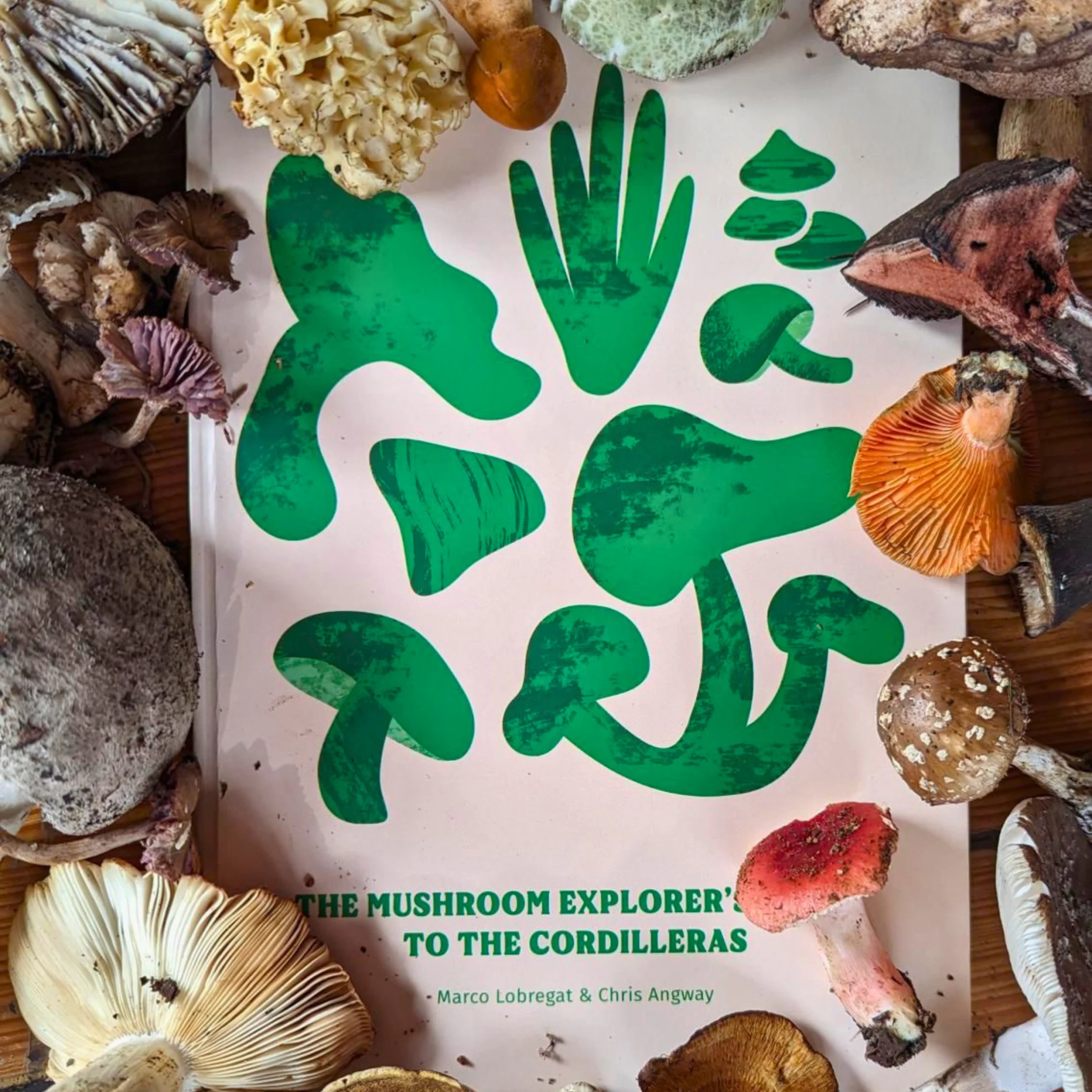 Mushroom Explorers Guide framed by a variety of freshly foraged mushrooms in the Cordilleras
