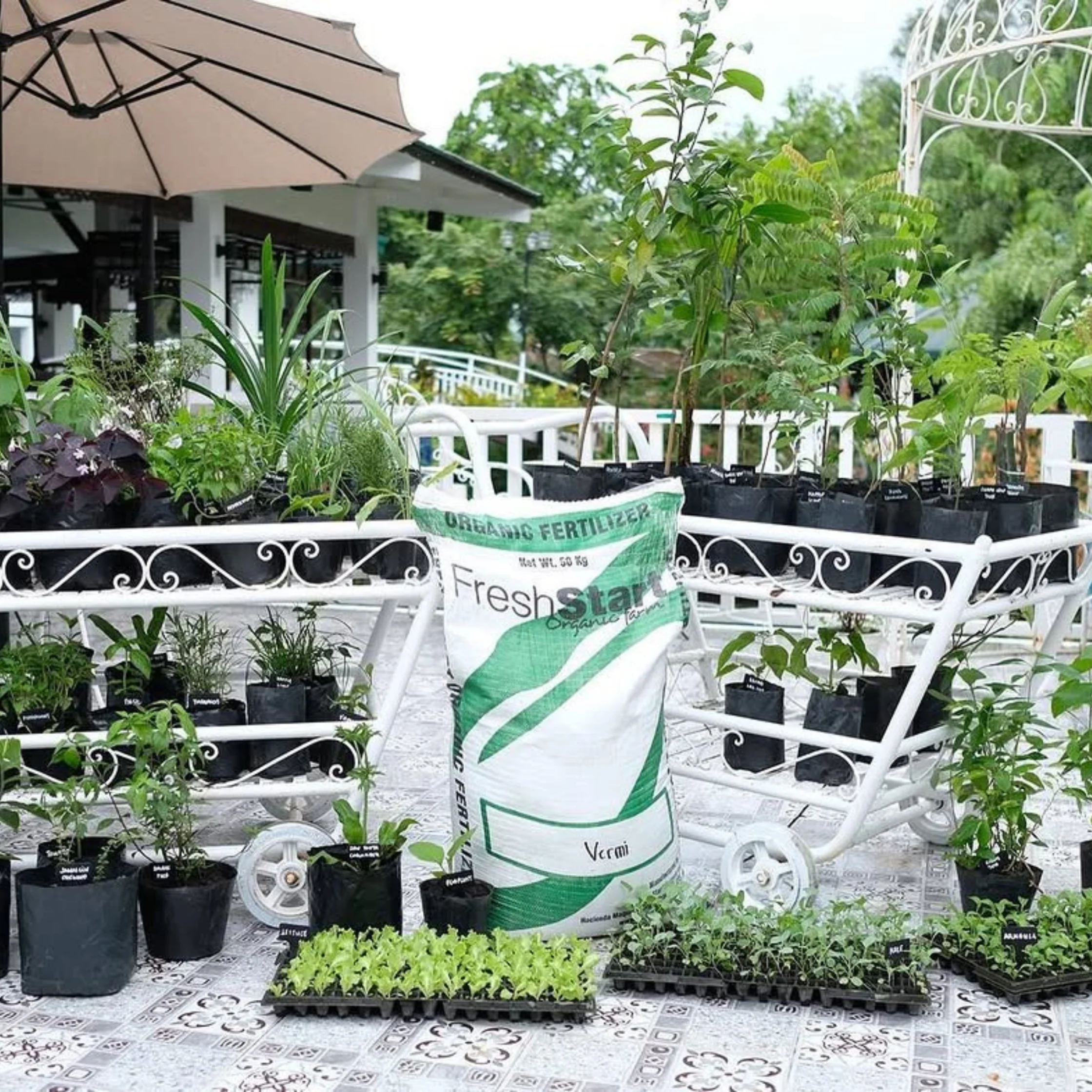 Outdoor plant nursery display with small potted seedlings on white metal racks and bags of organic fertilizer nearby.