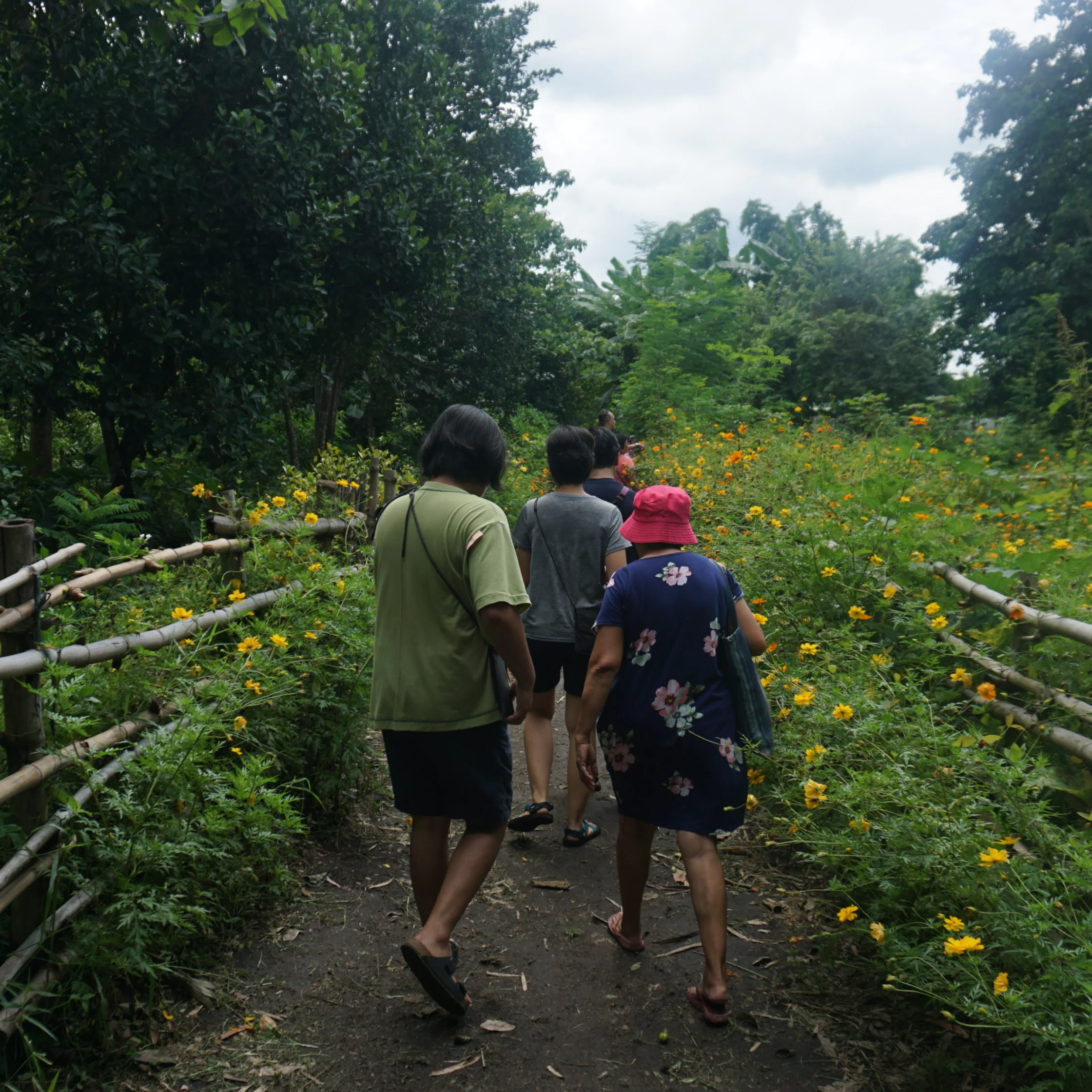 CAPAS TARLAC PHOTO COURTESY OF Good Food Community