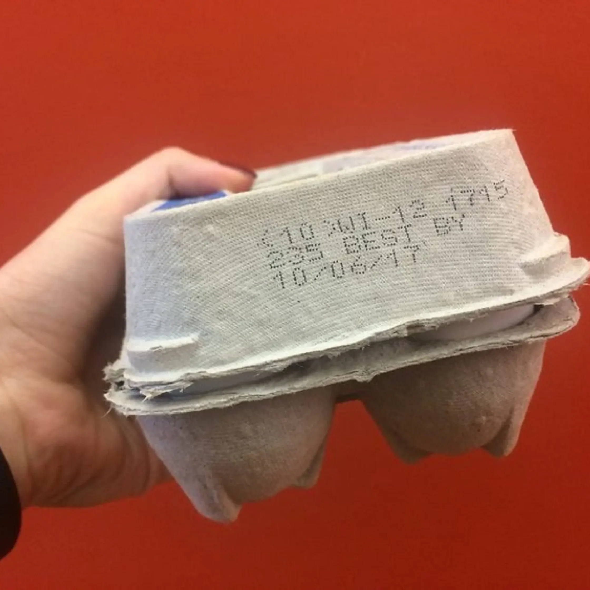hand holding egg carton against orange background