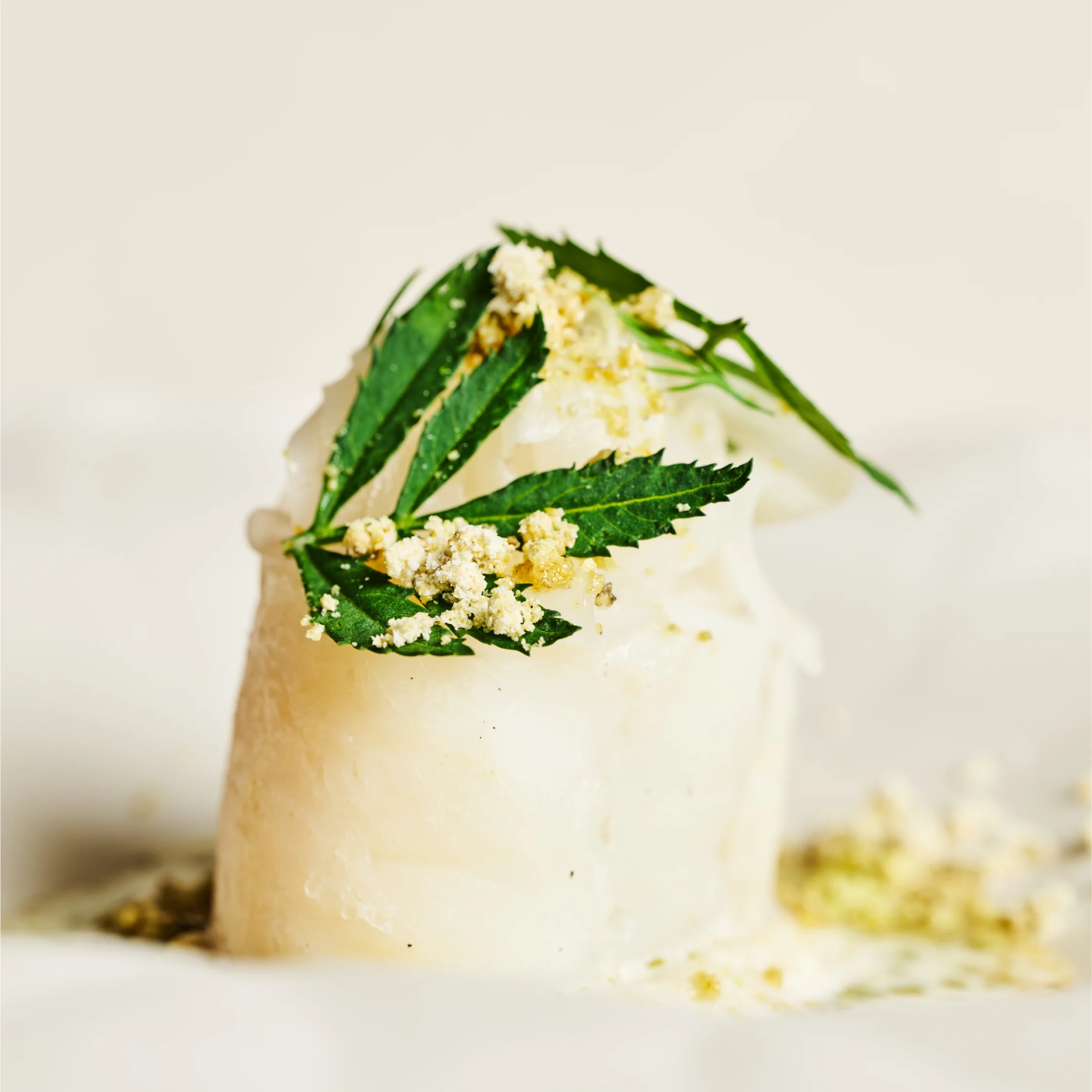 helm josh boutwood new menu cod bacalao dill