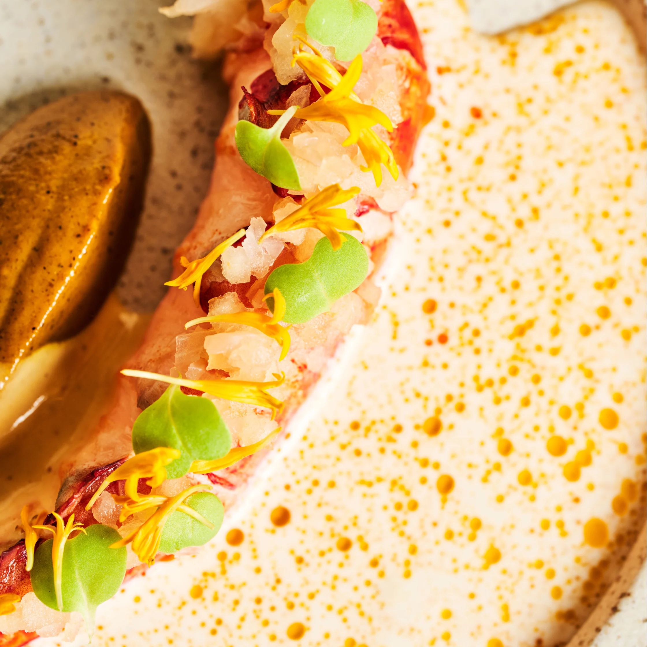 helm josh boutwood new menu lobster crustacean carrot