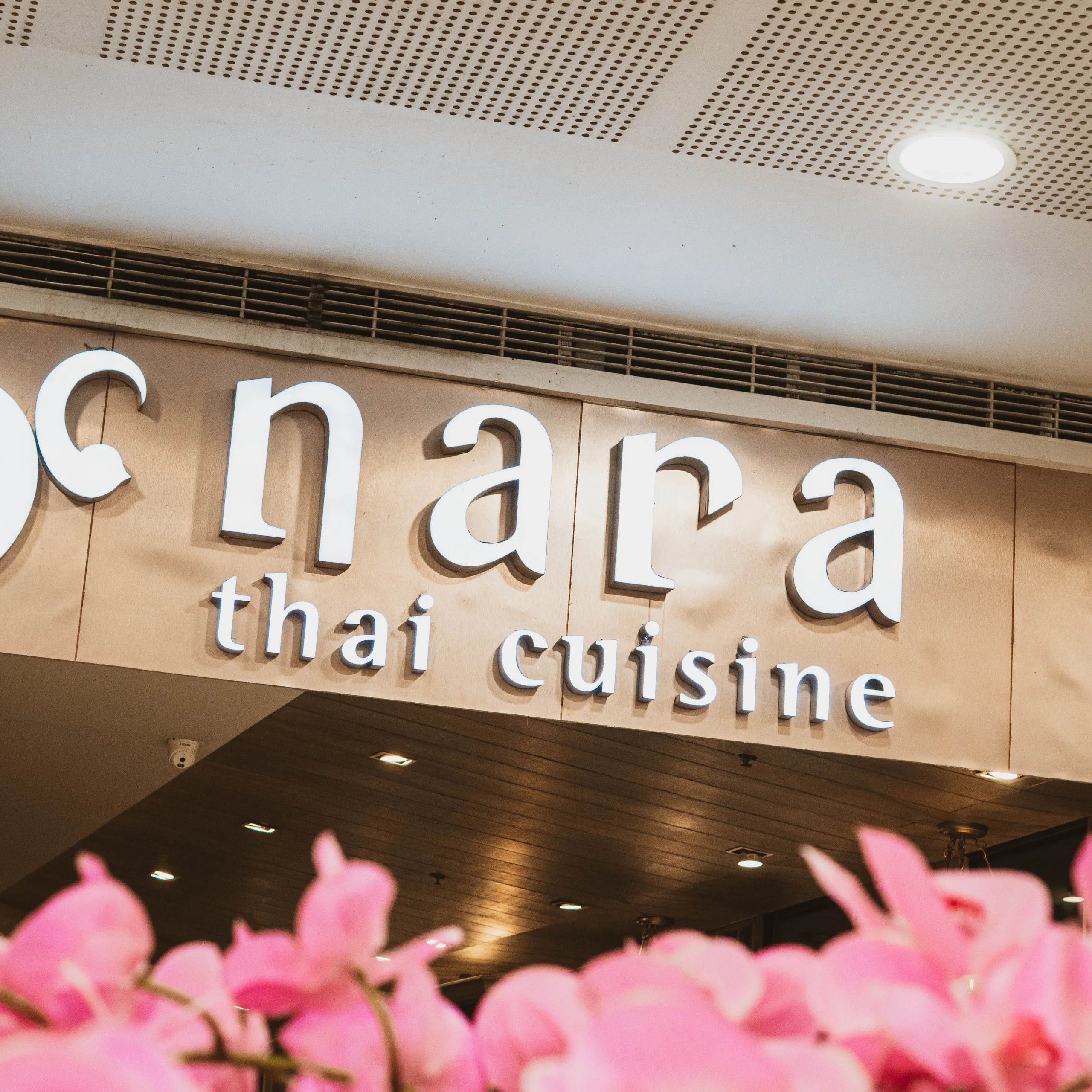 Pink flowers blurred in the foreground with a storefront sign reading 'China Cuisine' above a brown ceiling and lights in the background.