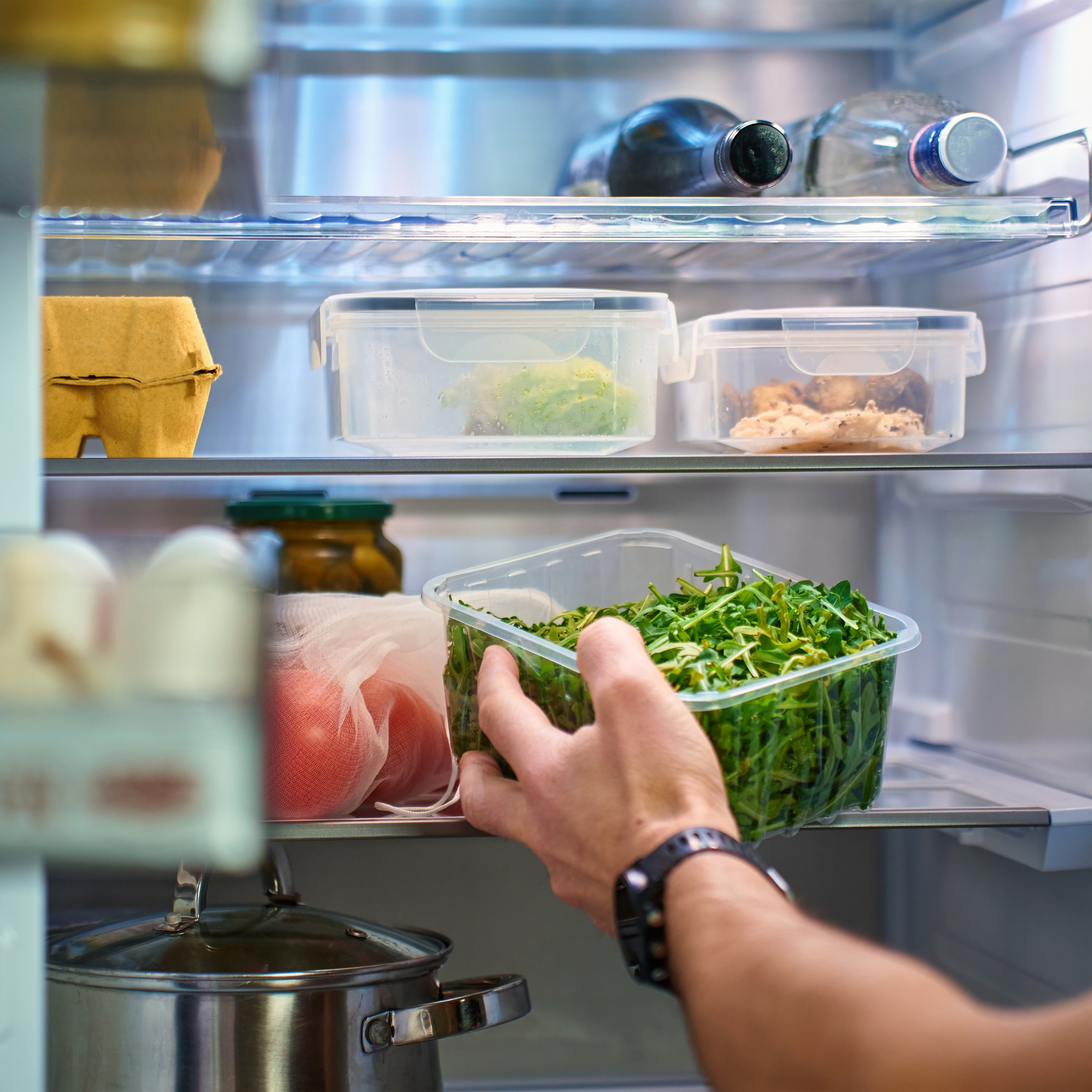 A hand places a clear container of fresh leafy greens into a stocked refrigerator among eggs, leftovers, produce, and bottles, conveying everyday meal prep.