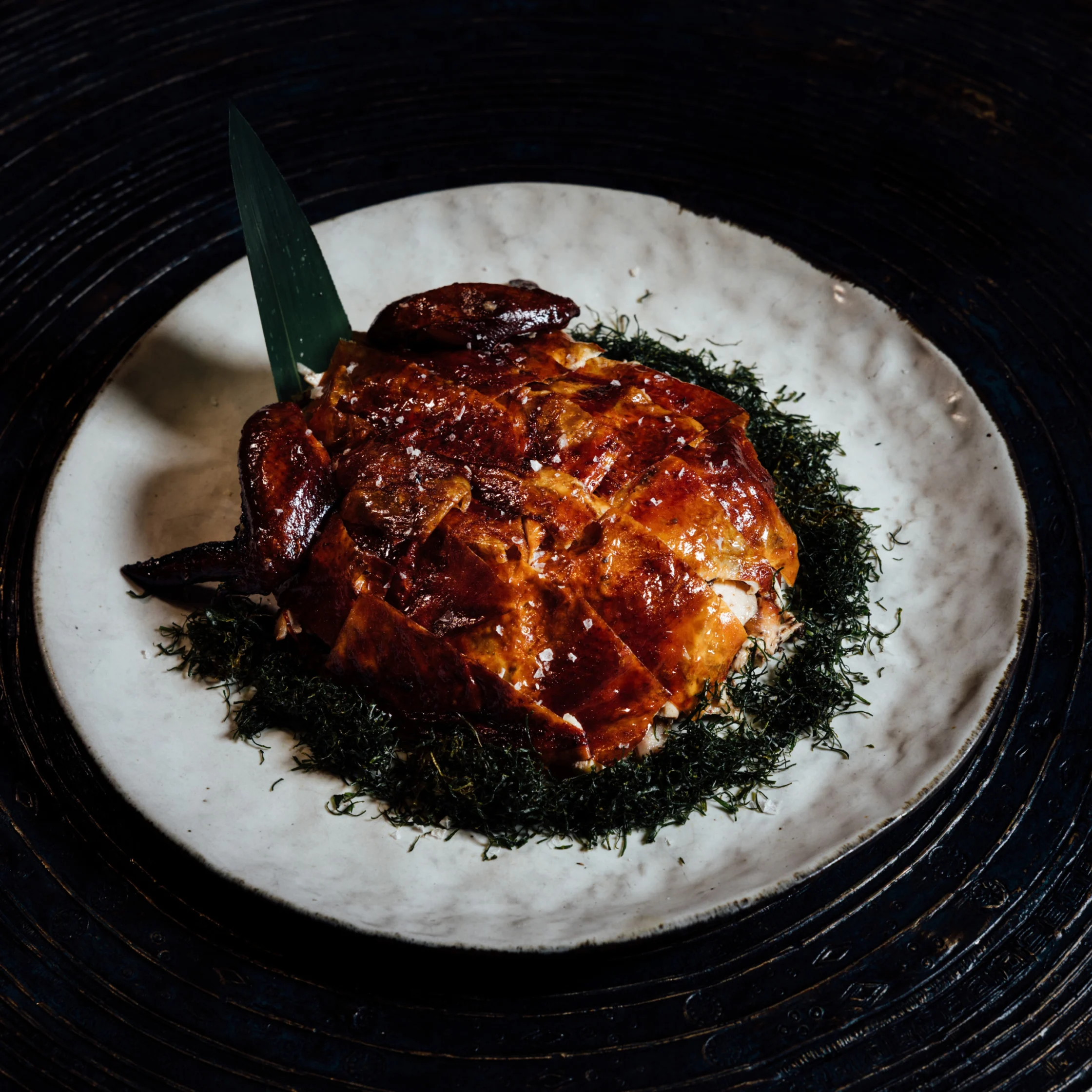 Grilled Hand-Shredded Chicken with Black Truffle