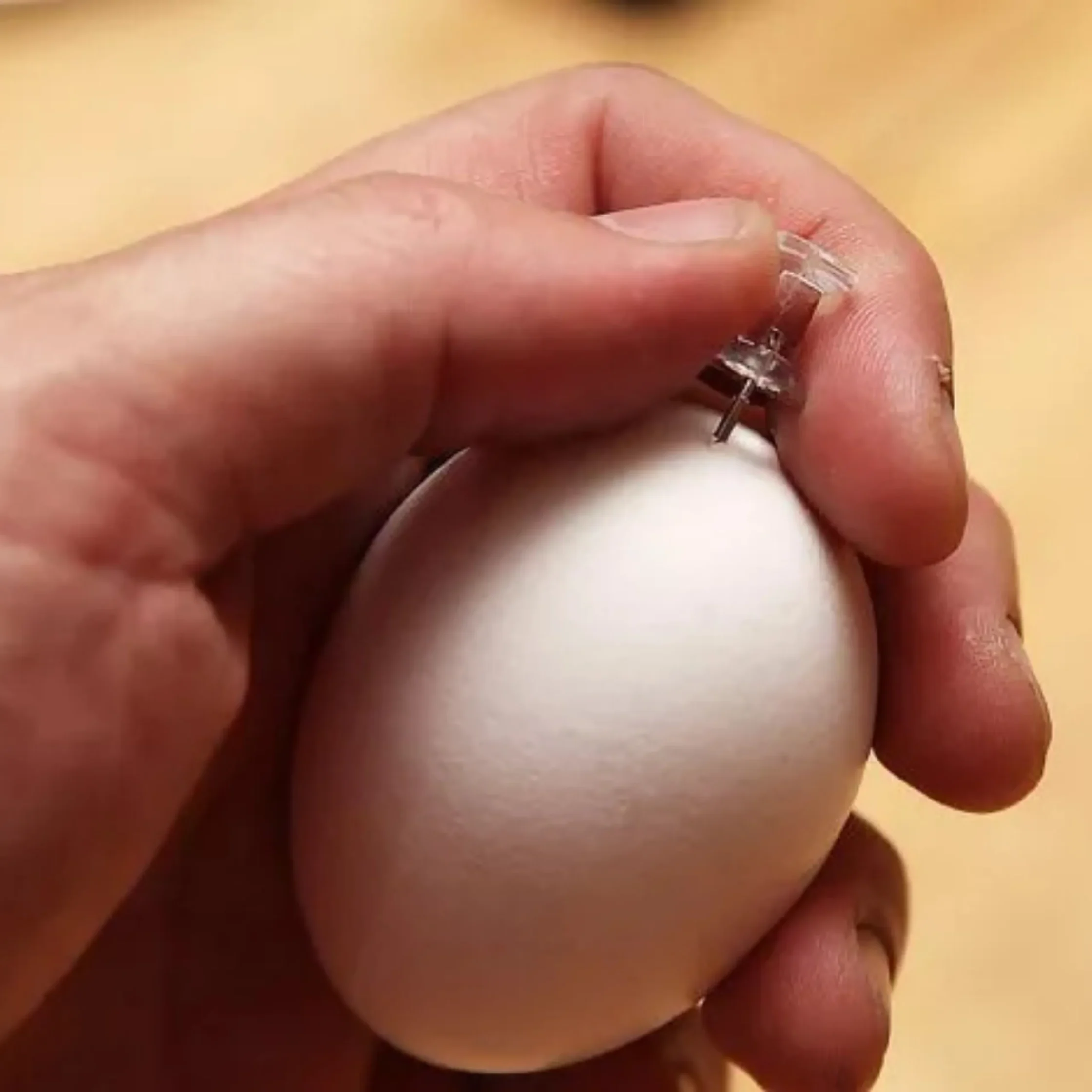 Close-up of fingers holding a small, clear medical-looking instrument with a thin metal component against pale skin.
