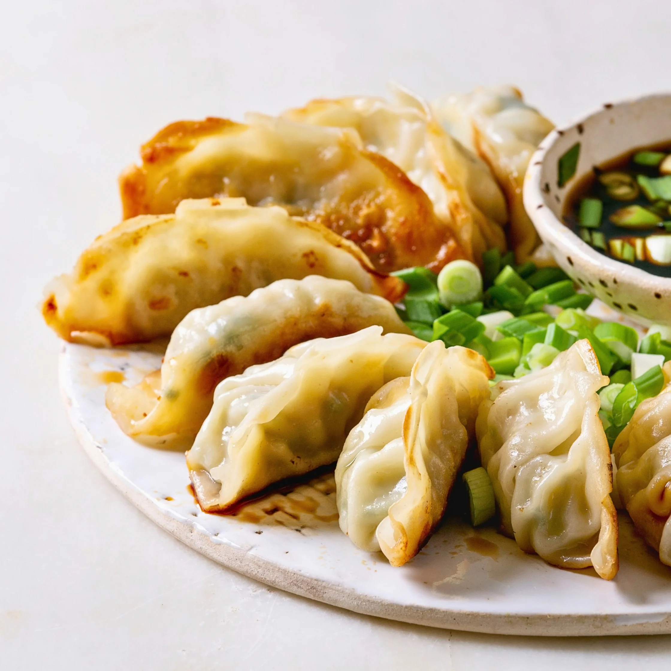 gyoza panfried or steamed dumpling from japan