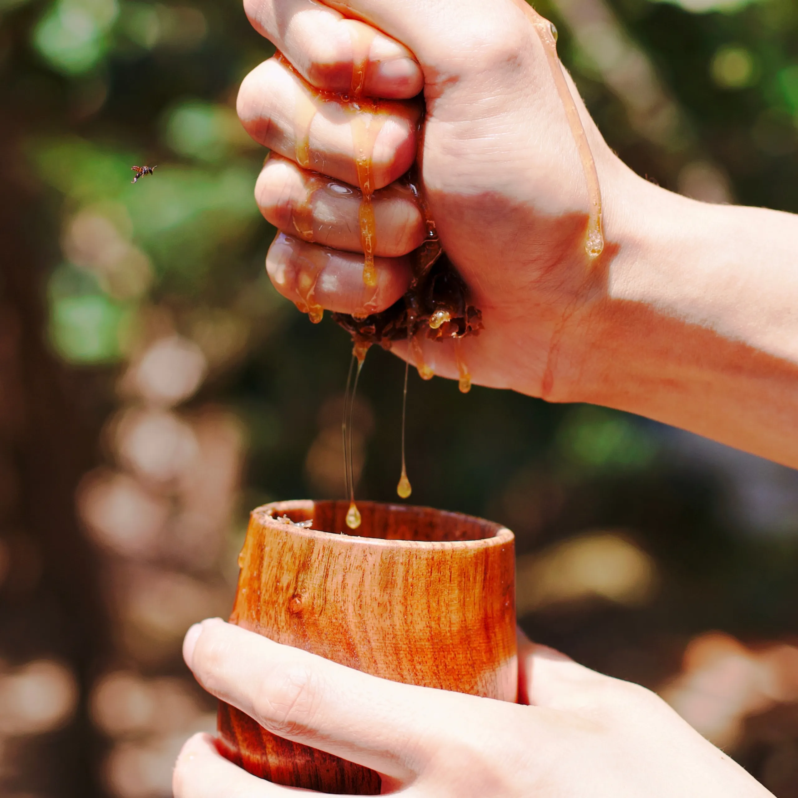 A clenched hand squeezes golden tree sap into a wooden cup held below, surrounded by a sunlit forest; the scene feels rustic and natural.