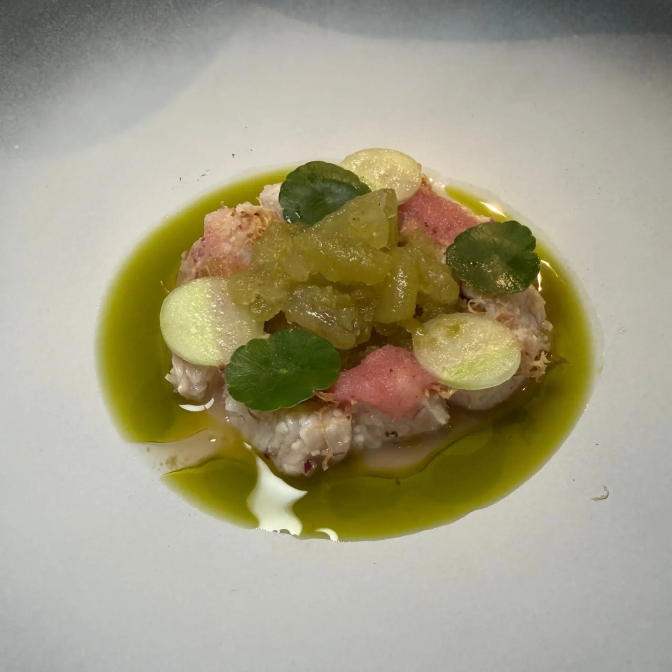 Refined plated dish of tender meat with pink slices, green leaves, and diced vegetables, surrounded by a glossy green oil sauce.