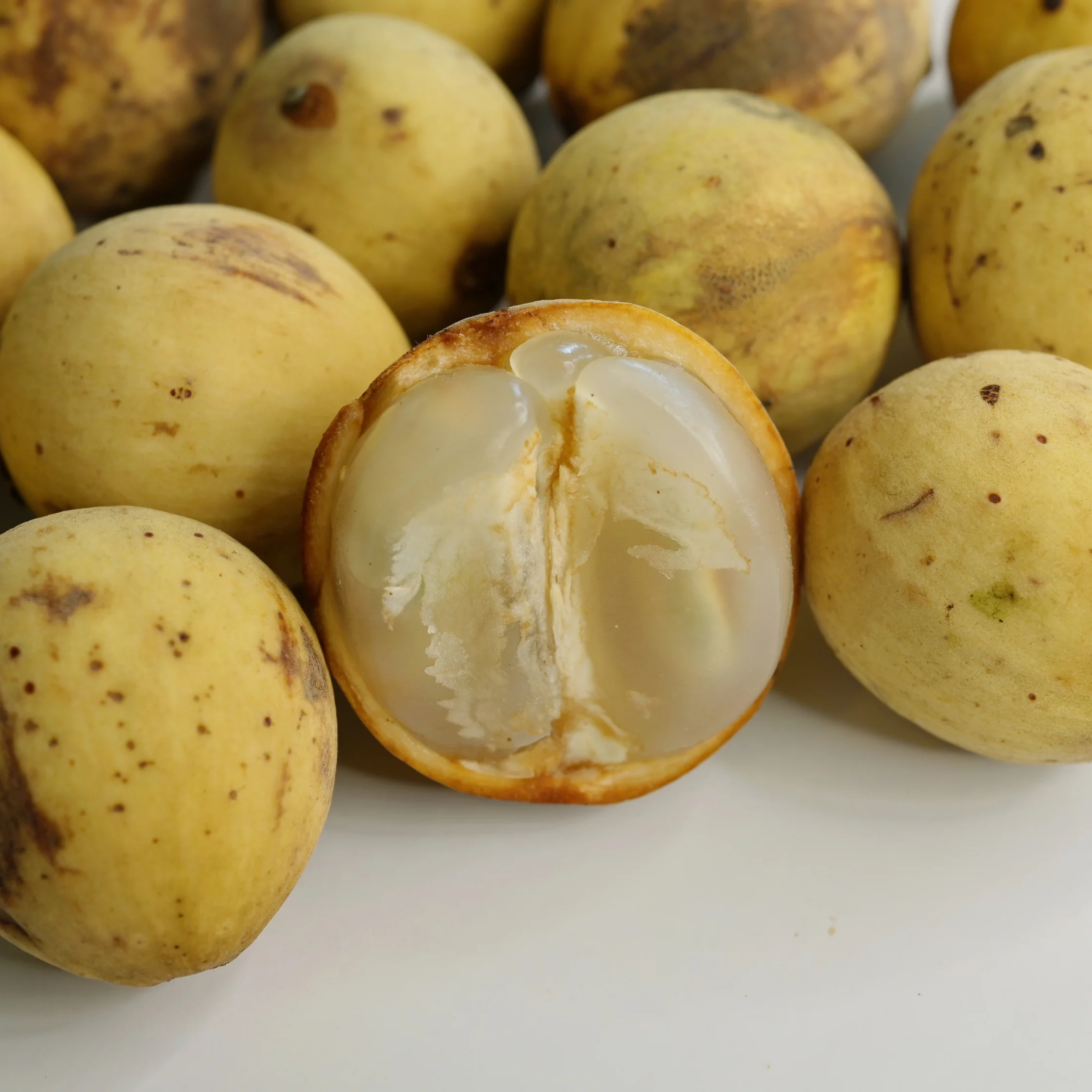 Lanzones