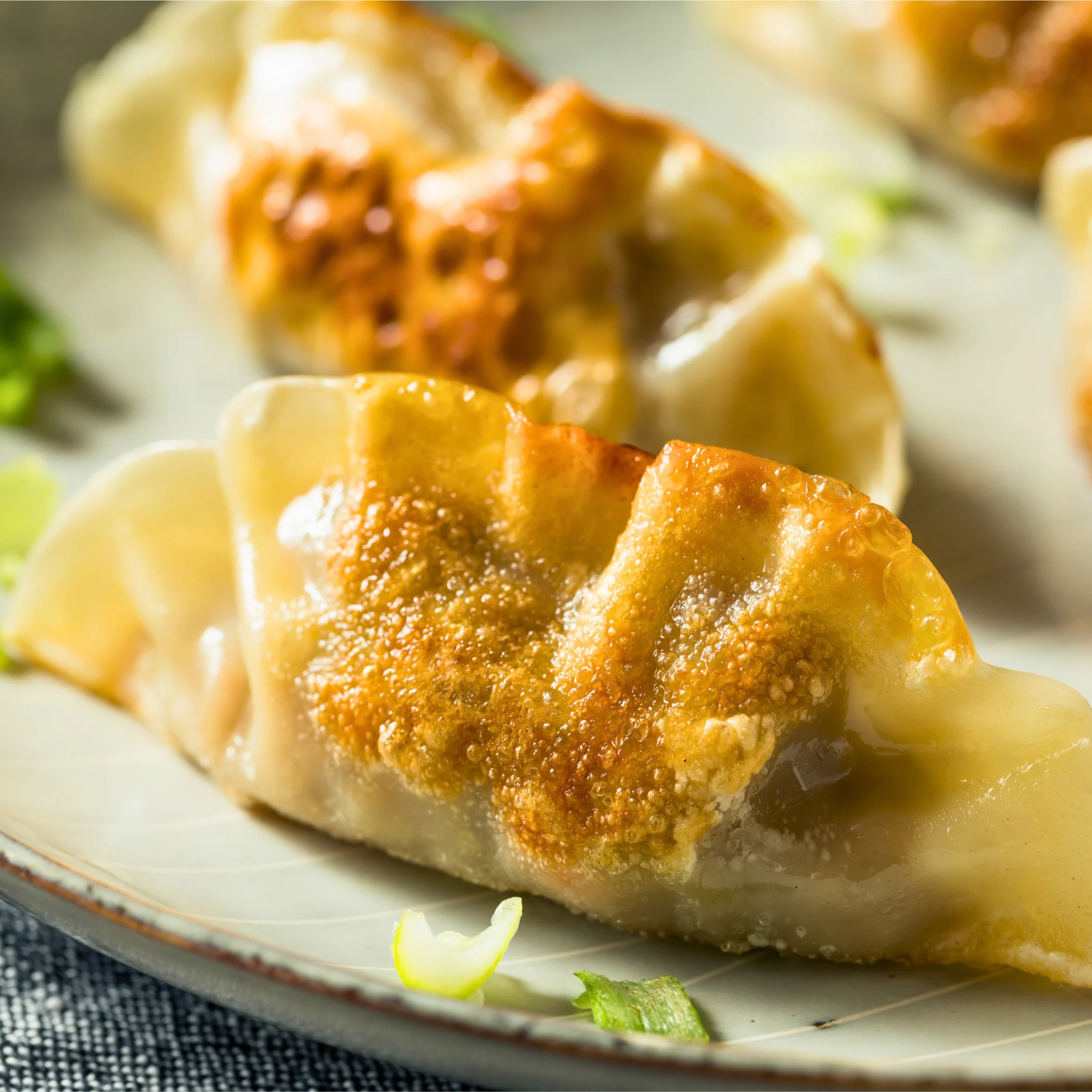 mandu panfried or steamed dumpling from korea