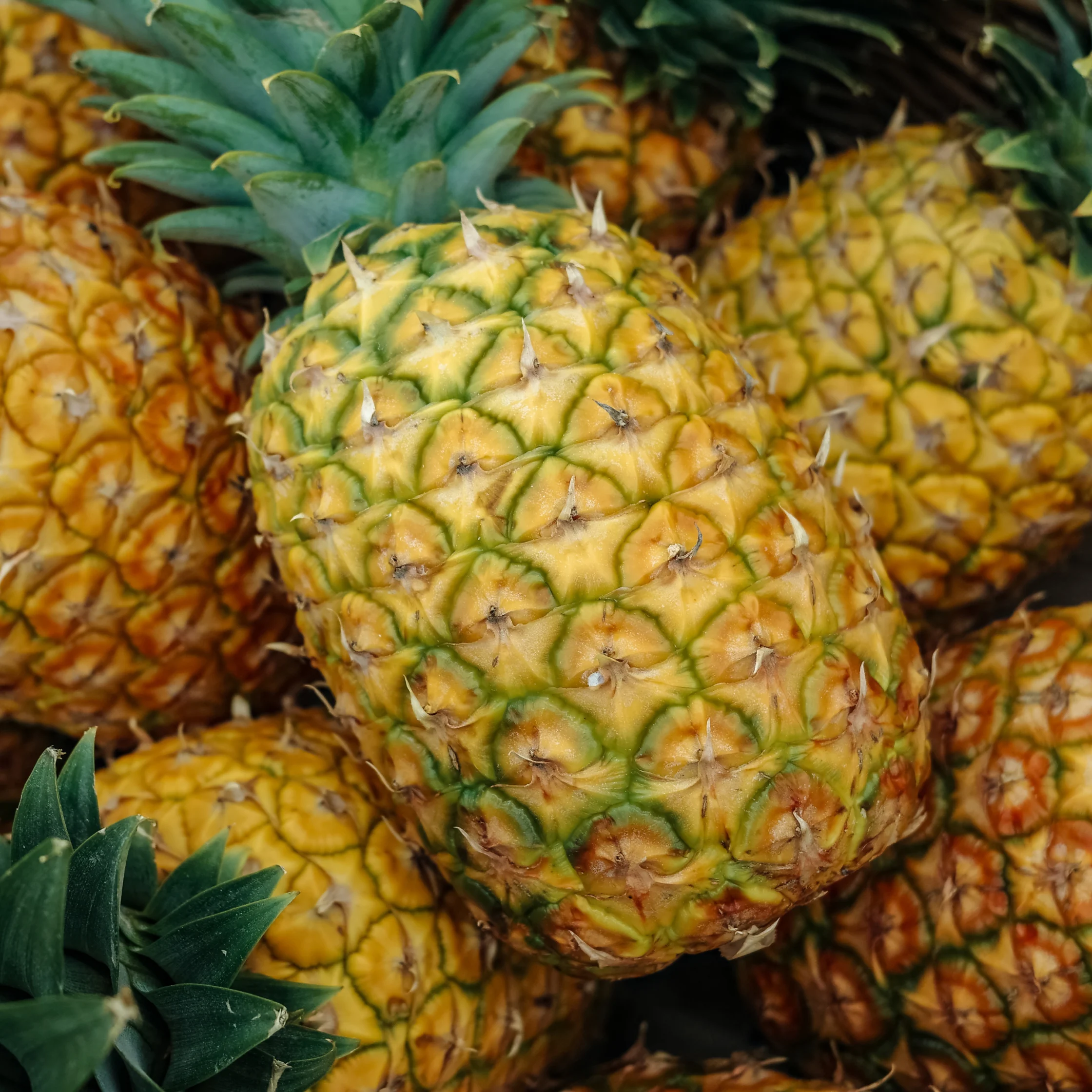 Pinya