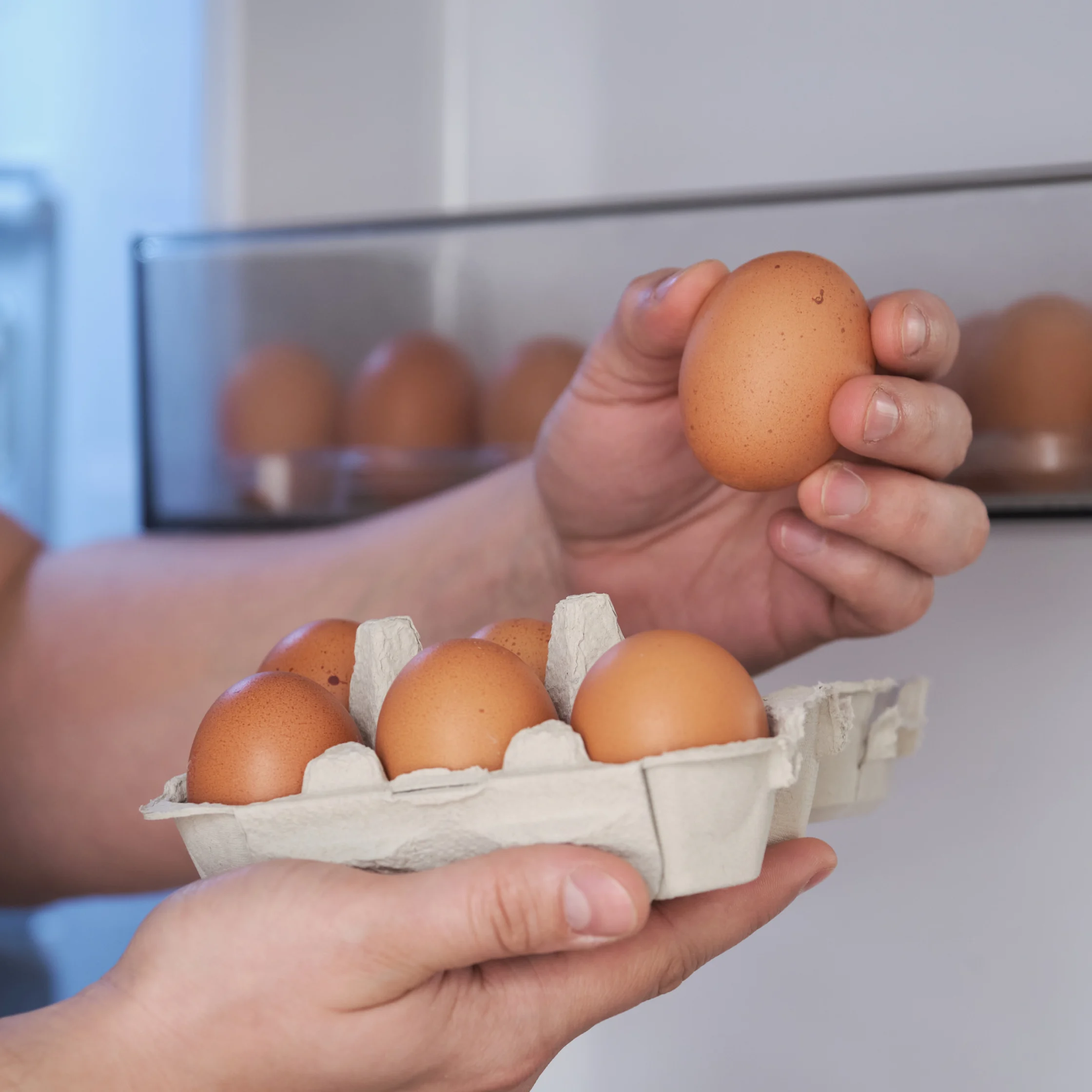 Hands hold a carton of brown eggs while one egg is lifted for inspection, with a refrigerator in the background; a calm, everyday kitchen scene.